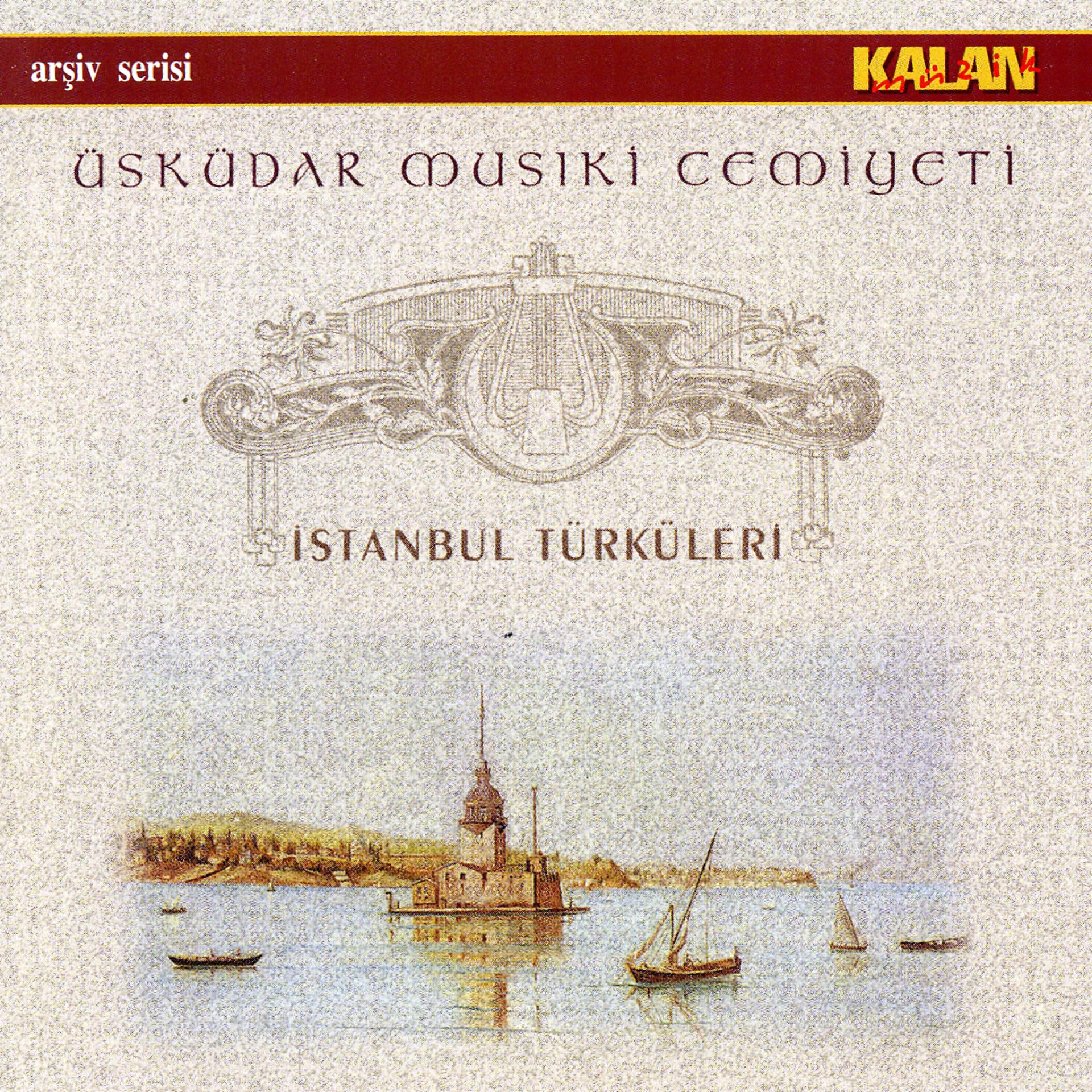 Постер альбома Istanbul Türküleri
