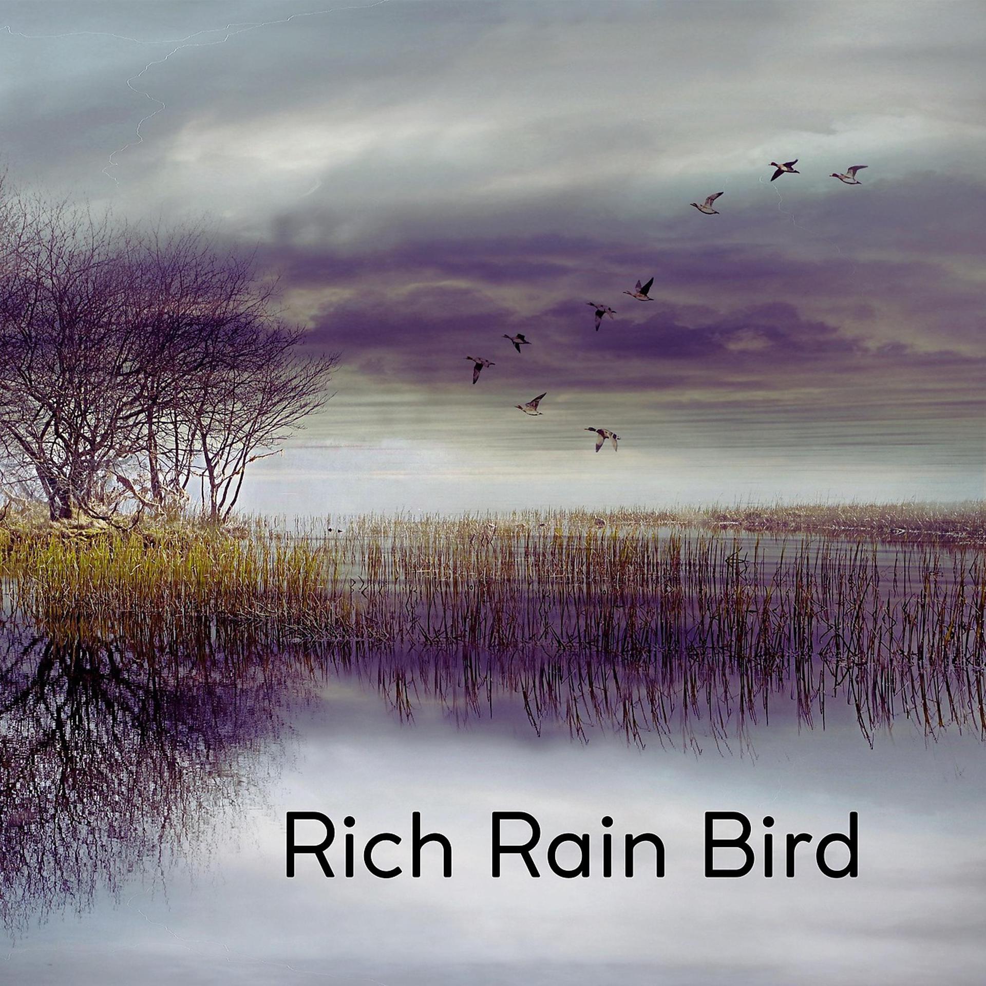 Постер альбома Rich Rain Bird