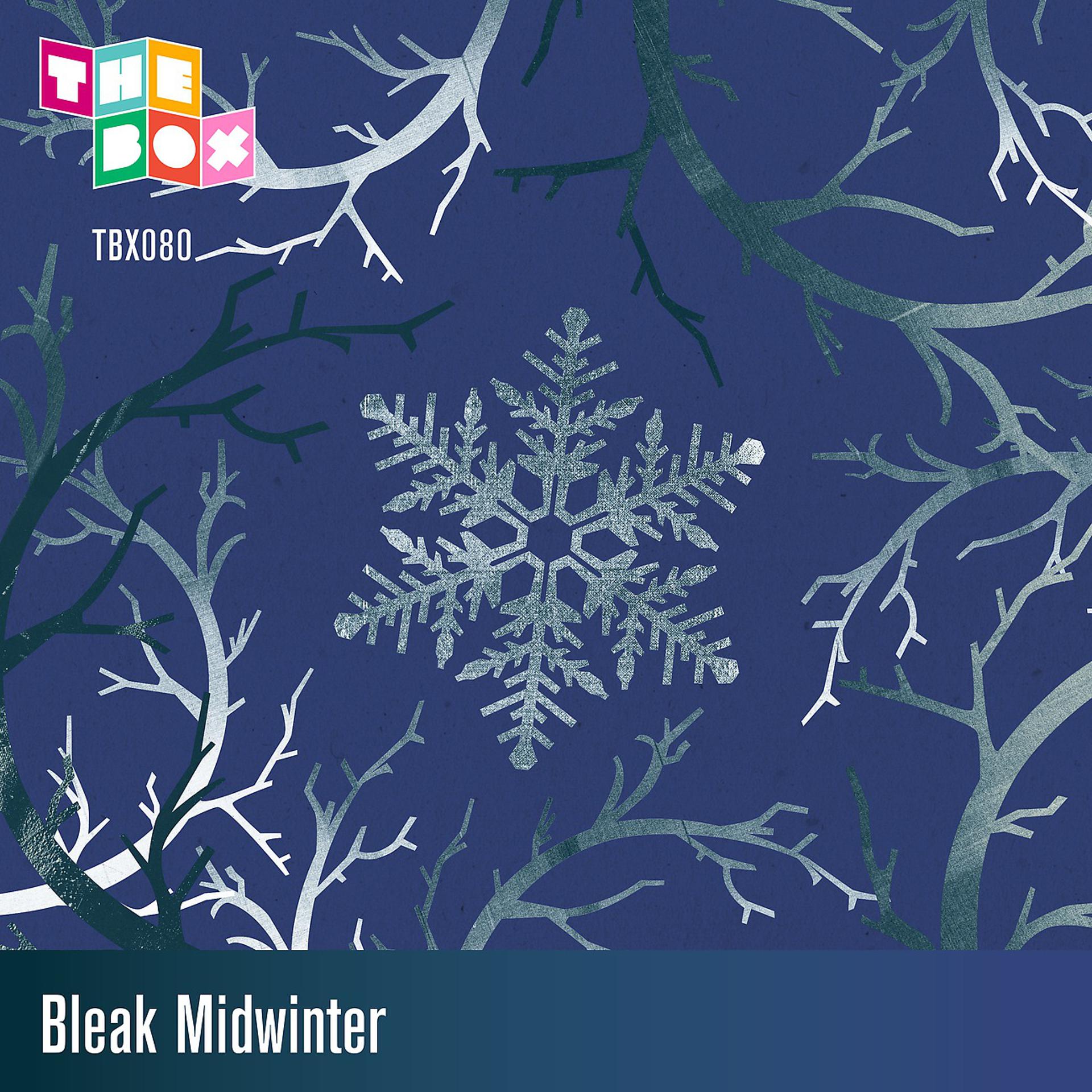 Постер альбома Bleak Midwinter