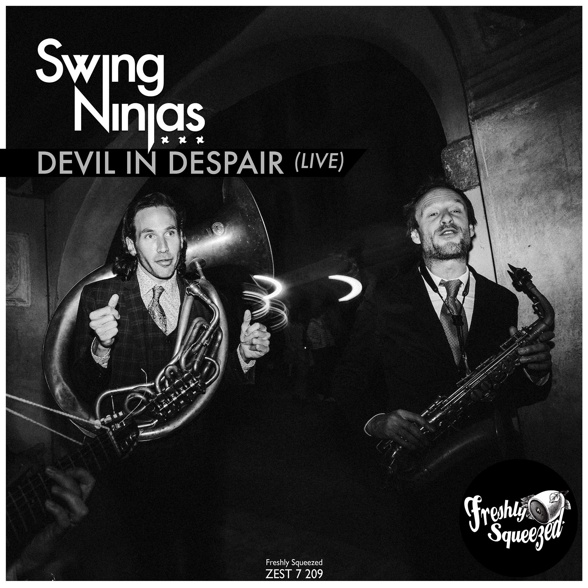 Постер альбома Devil in Despair