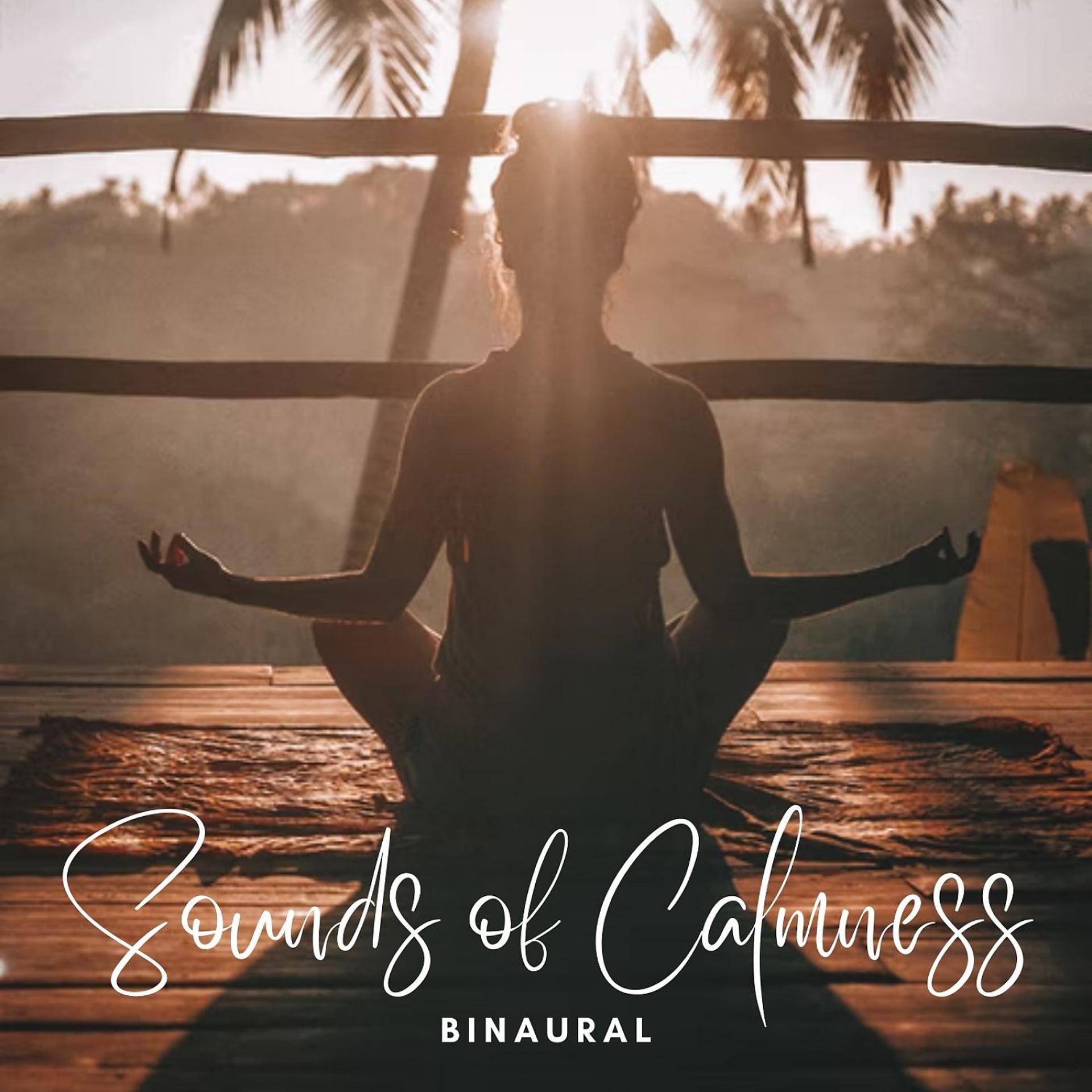 Постер альбома Binaural: Sounds of Calmness