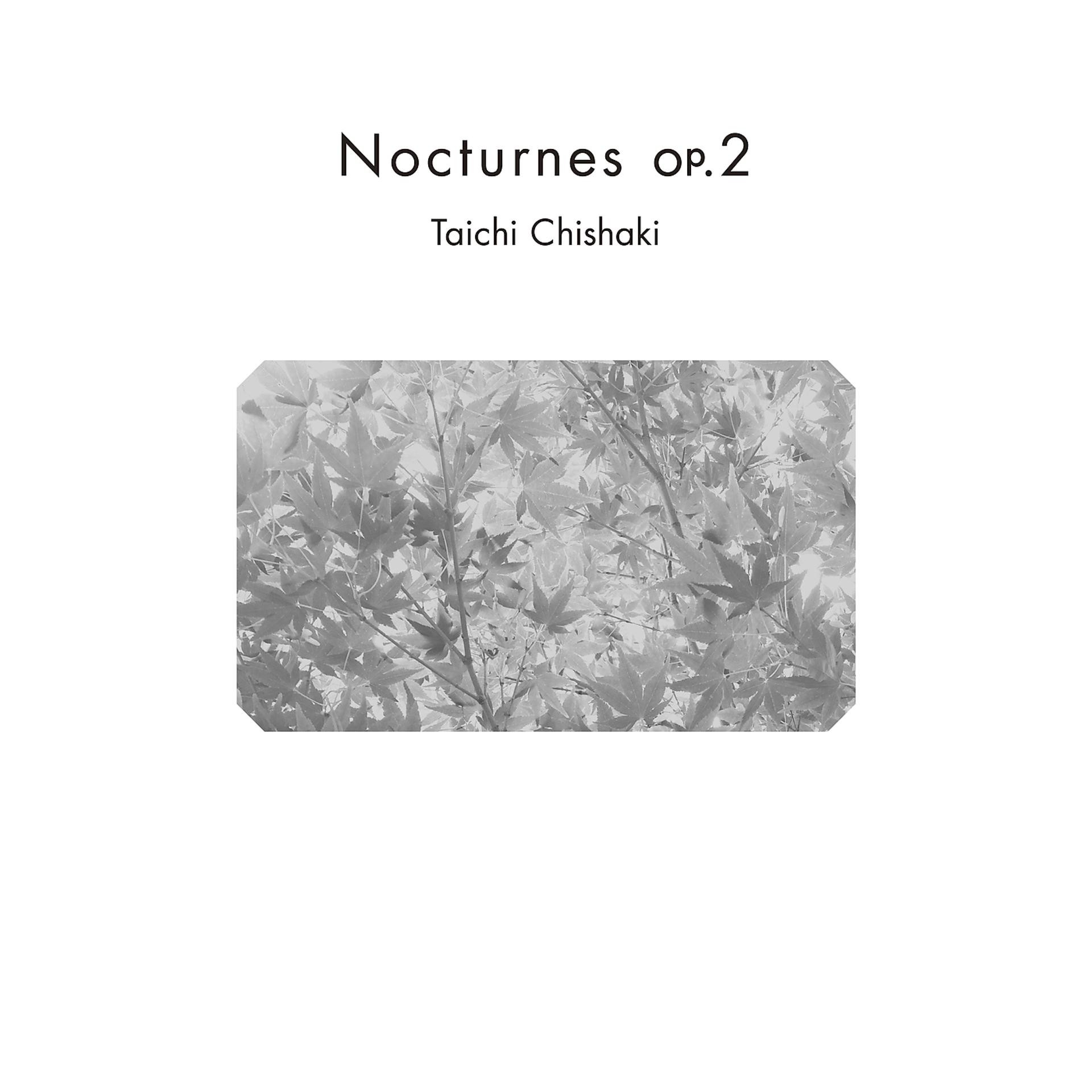 Постер альбома Nocturnes op.2