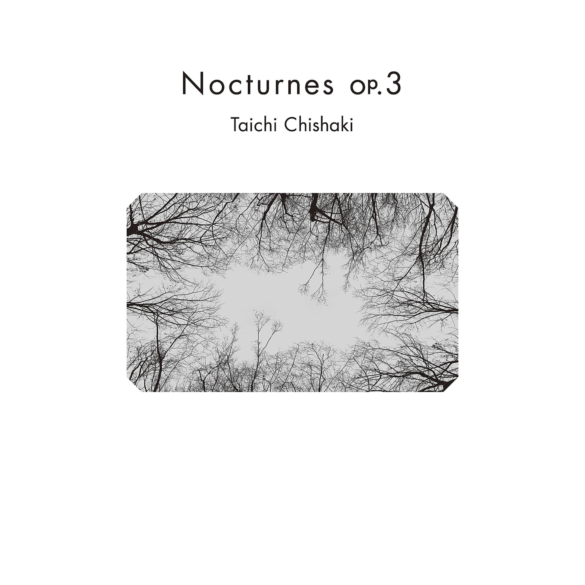 Постер альбома Nocturnes op.3