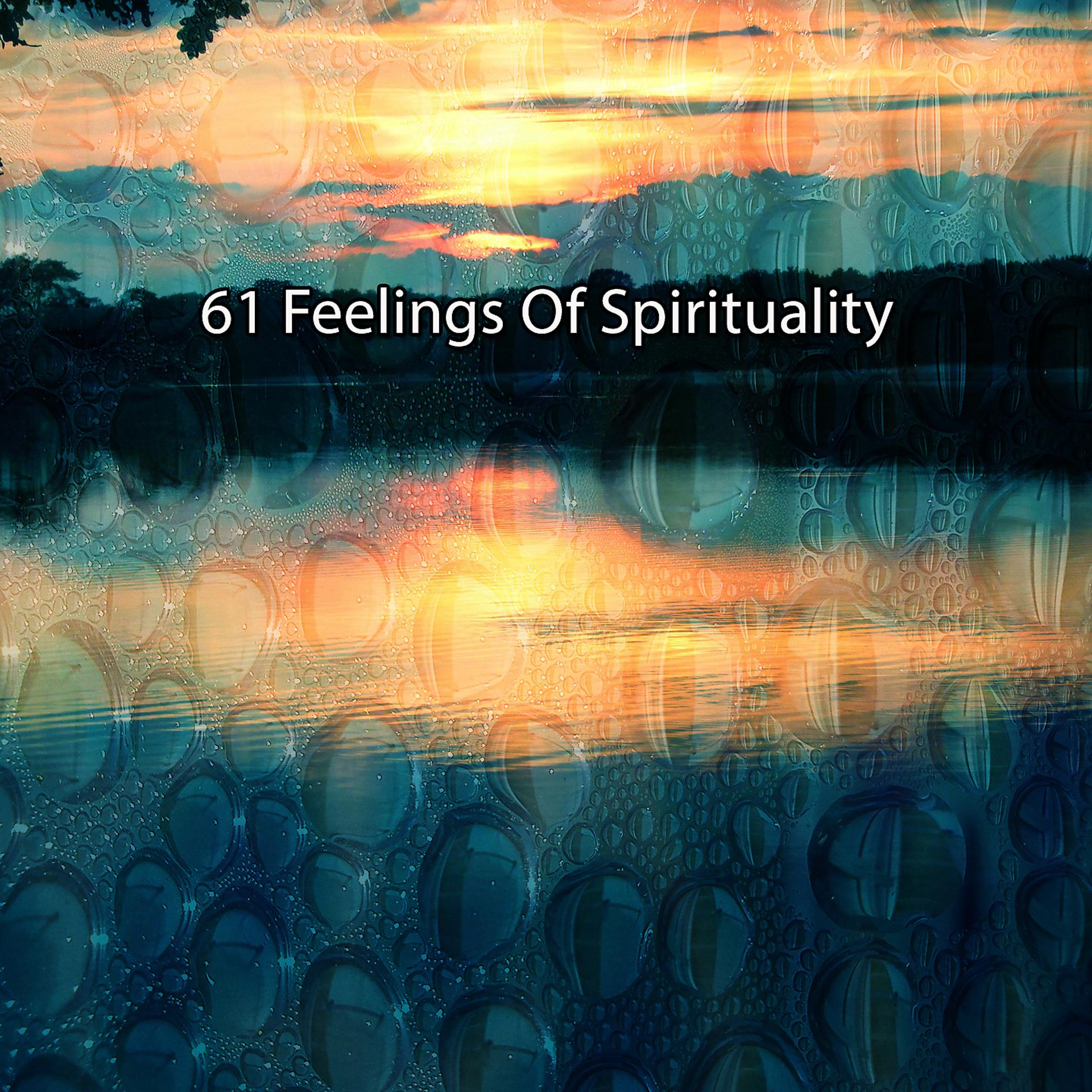 Постер альбома 61 Чувства духовности