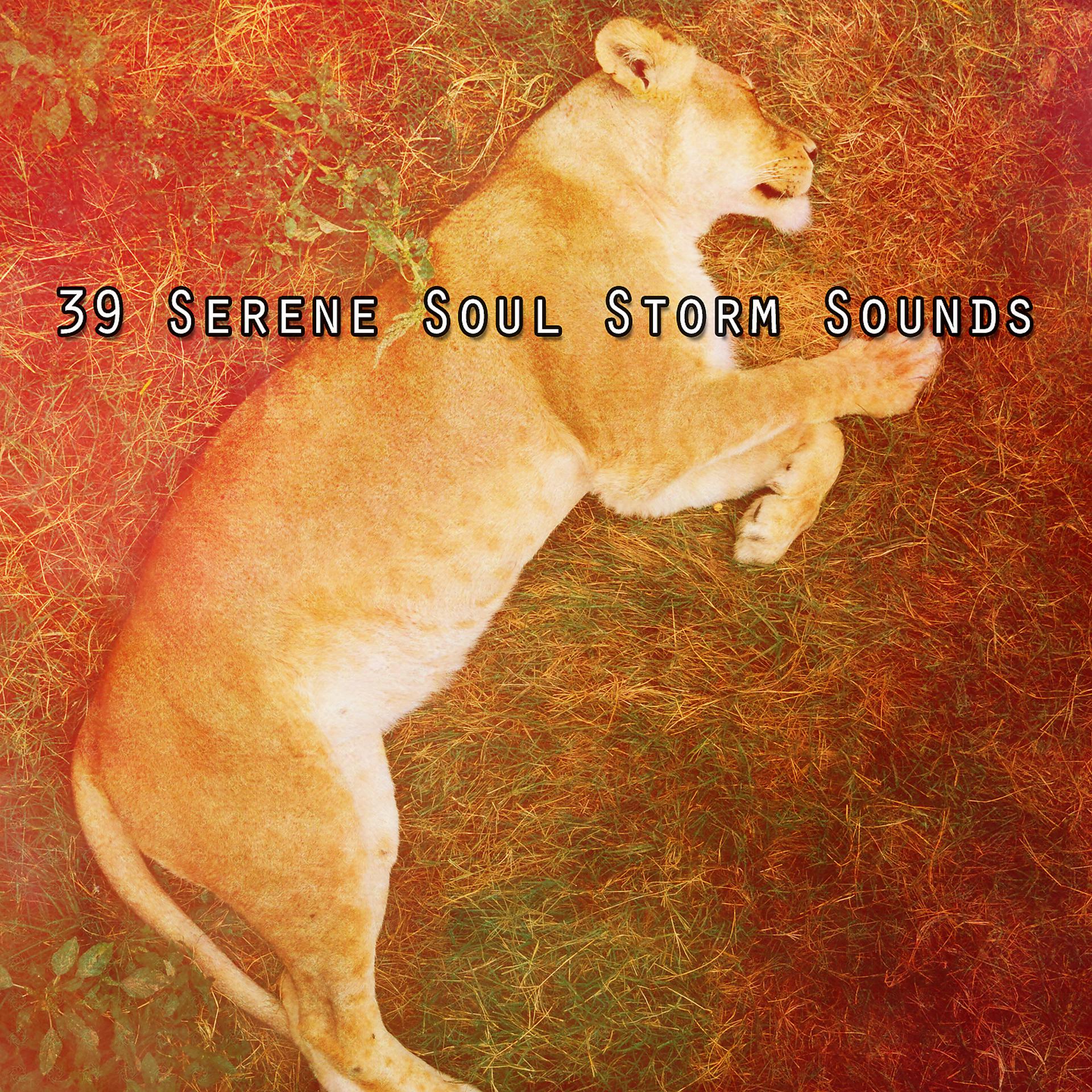 Постер альбома 39 Звуки Безмятежной Душевной Бури