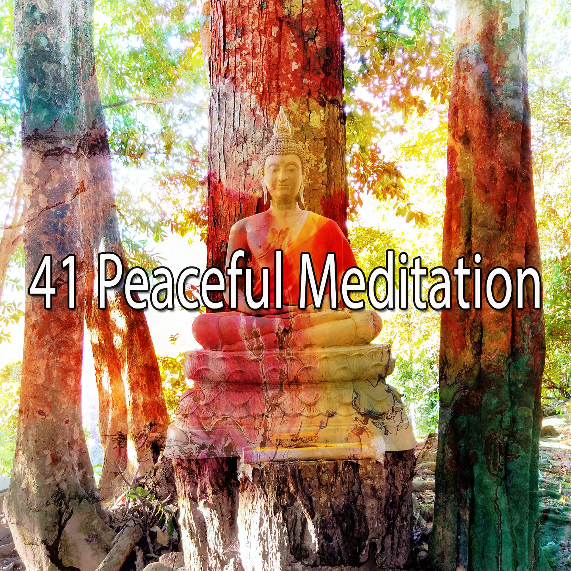Постер альбома 41 Спокойная медитация