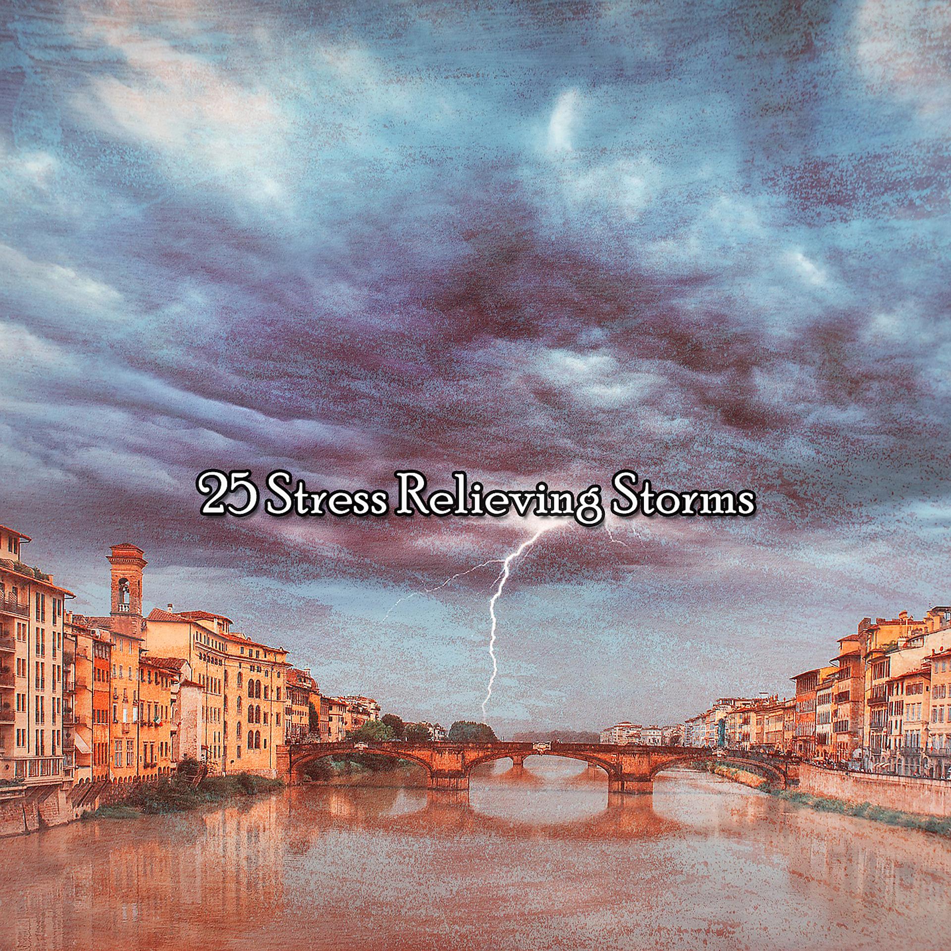 Постер альбома 25 Stress Relieving Storms