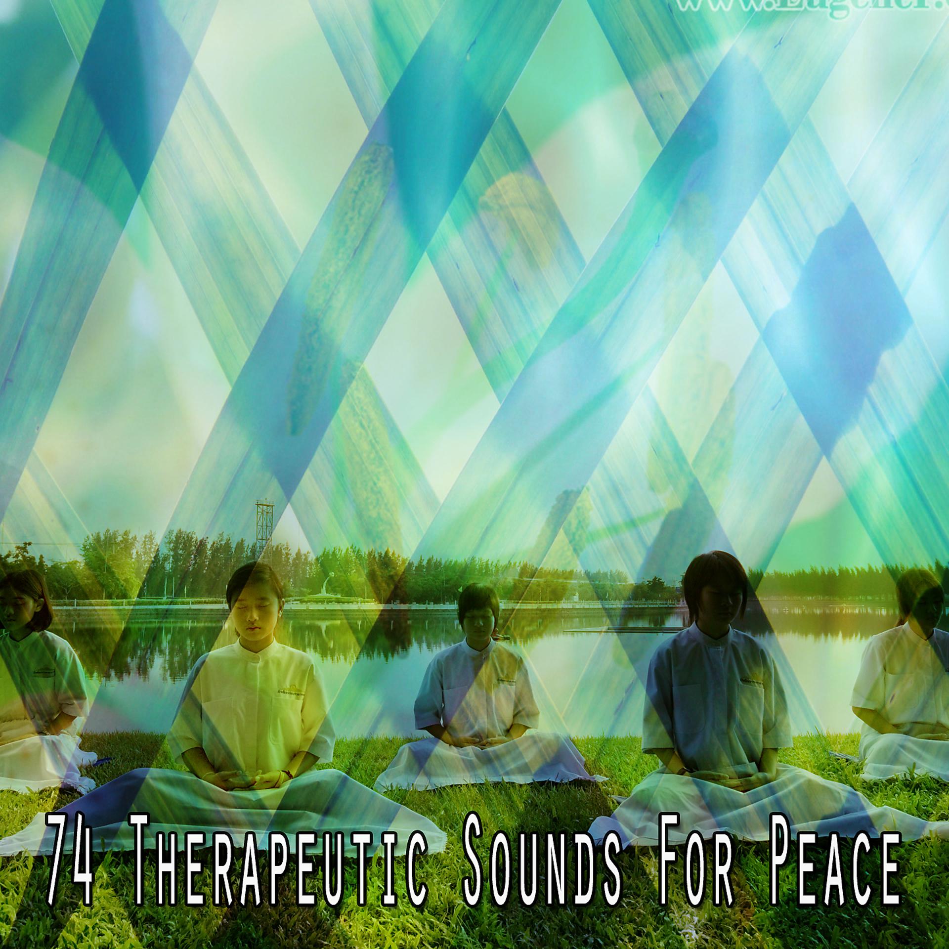Постер альбома 74 терапевтических звука для мира