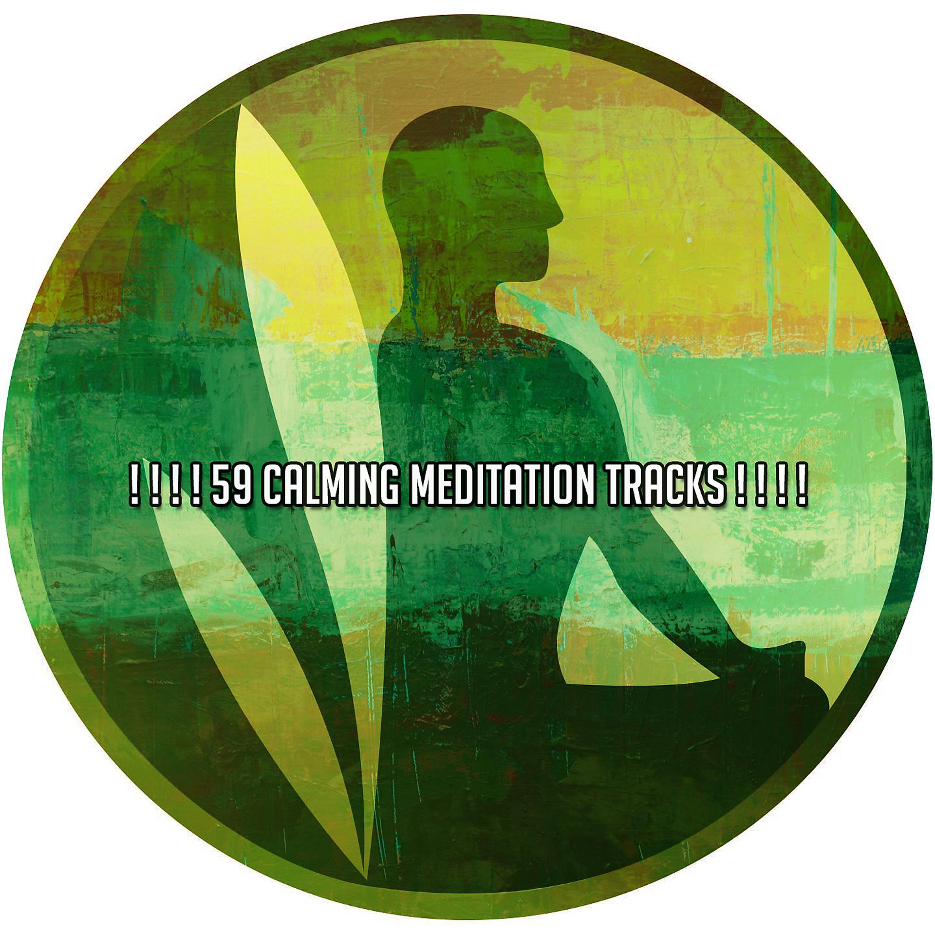 Постер альбома ! ! ! ! 59 успокаивающих треков для медитации! ! ! !