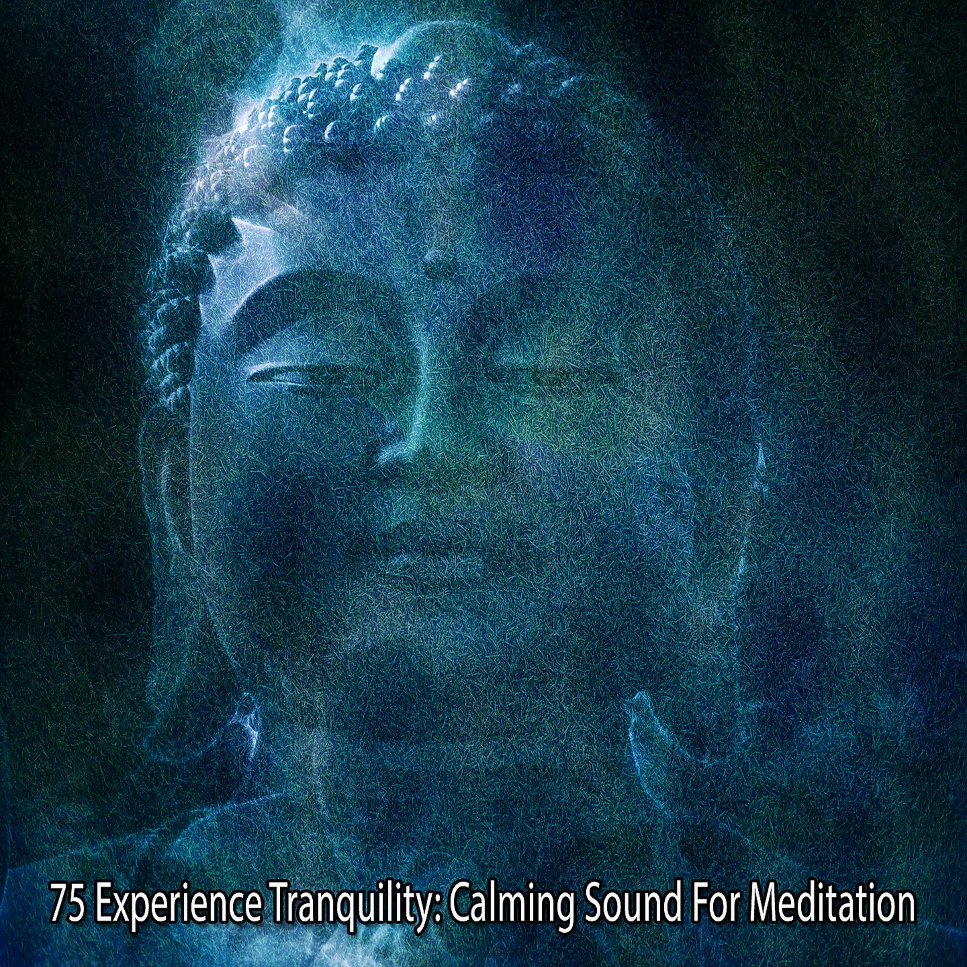 Постер альбома !!!! 75 Испытайте спокойствие: успокаивающий звук для медитации !!!!