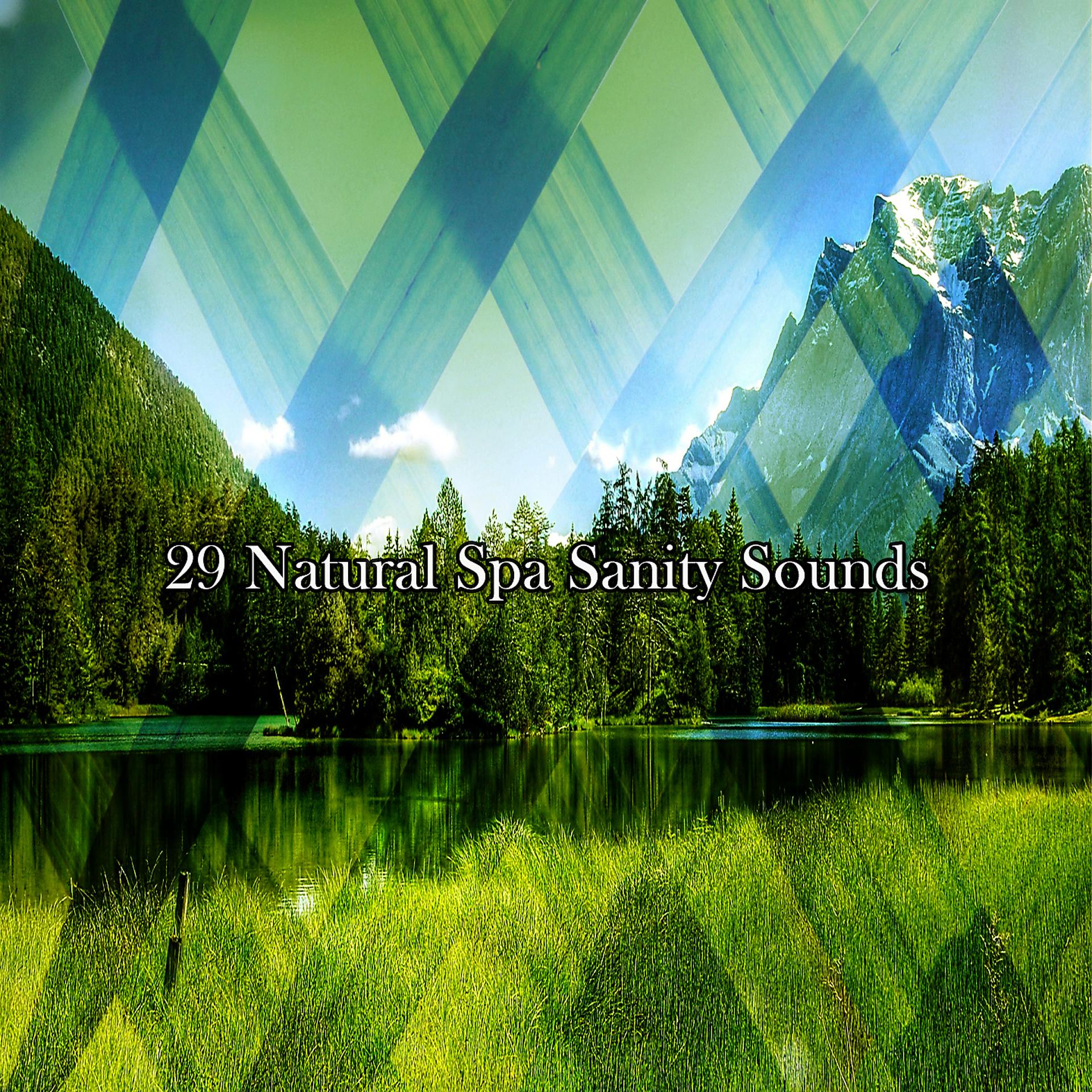 Постер альбома !!!! 29 звуков естественного спа-здоровья !!!!