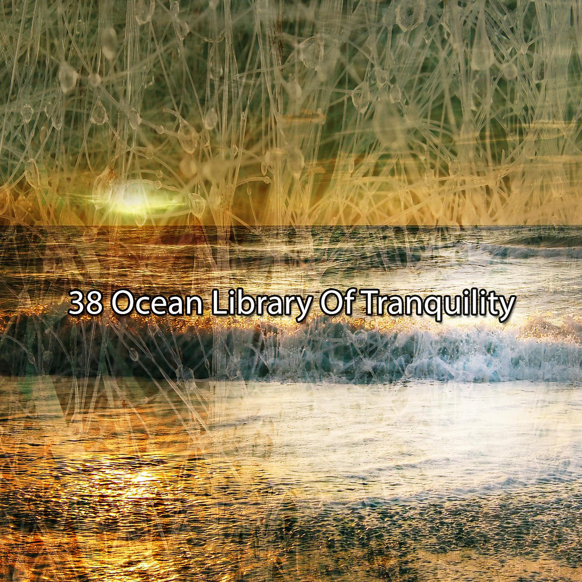 Постер альбома 38 Океаническая библиотека спокойствия