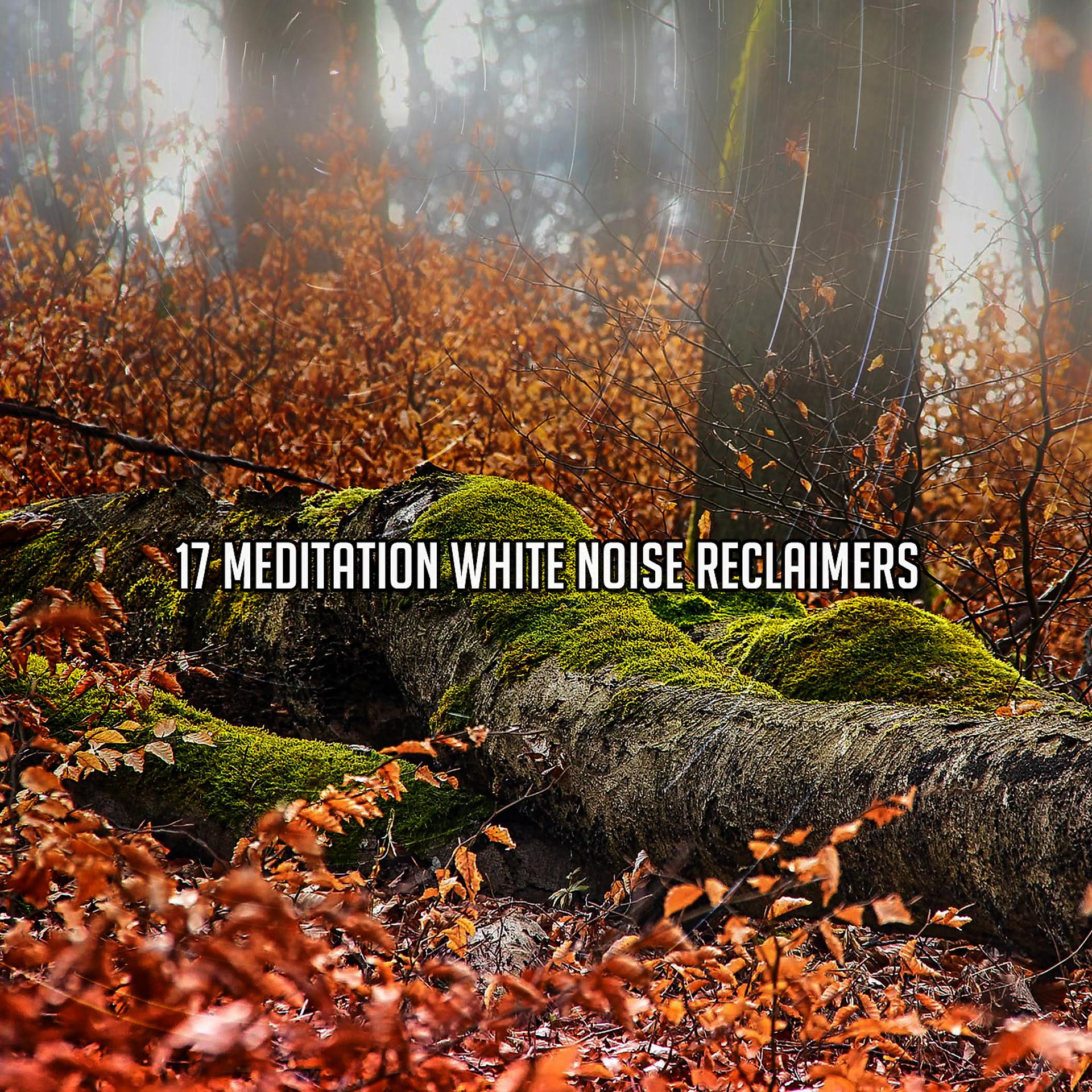 Постер альбома 17 медитативных регенераторов белого шума