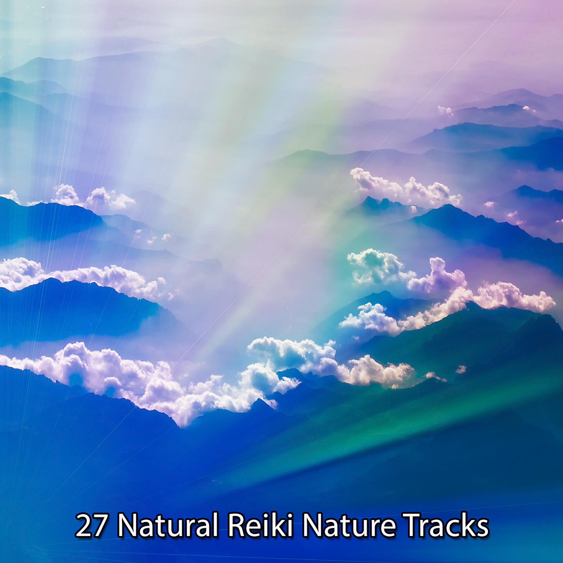 Постер альбома 27 природных треков Рэйки