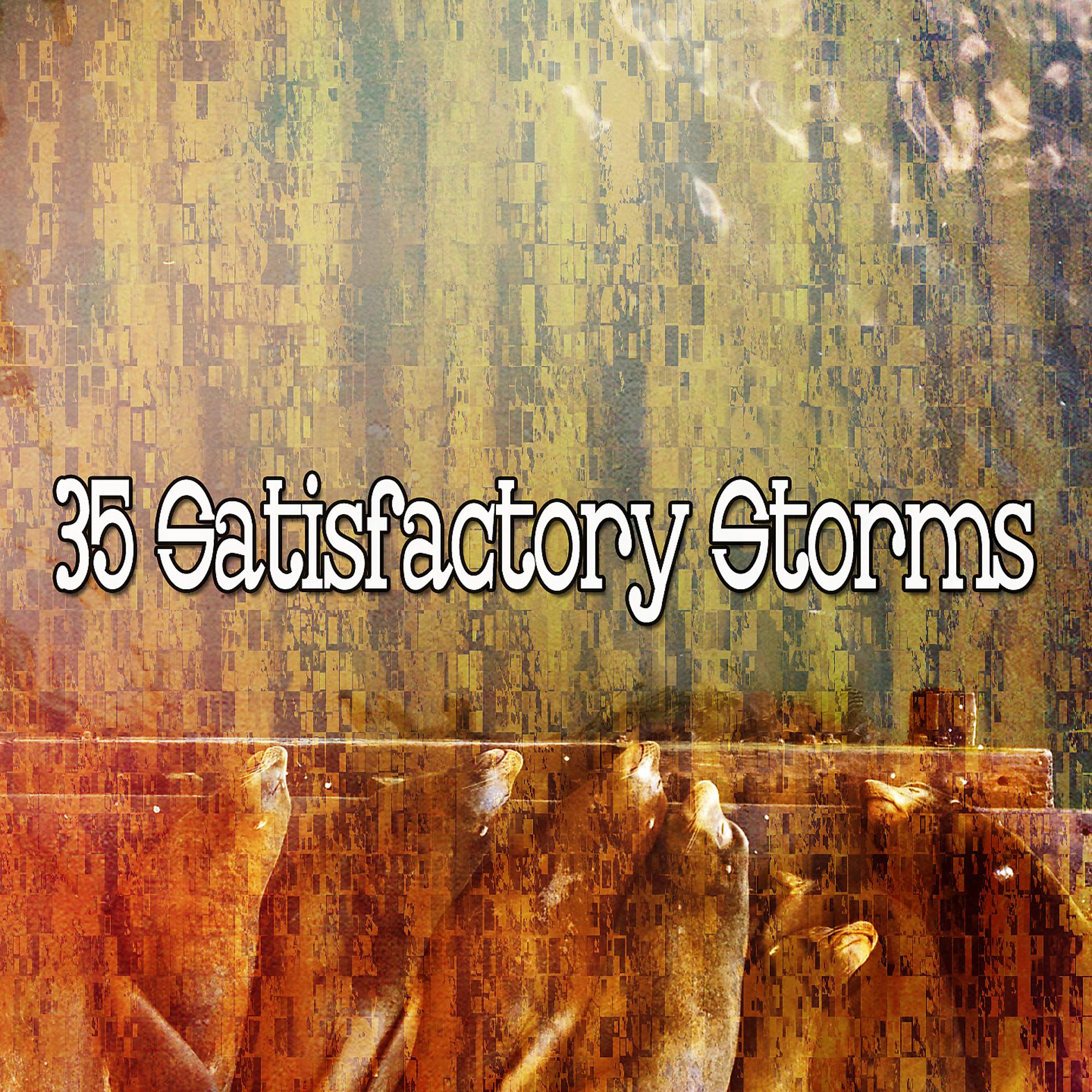 Постер альбома 35 Удовлетворительных штормов
