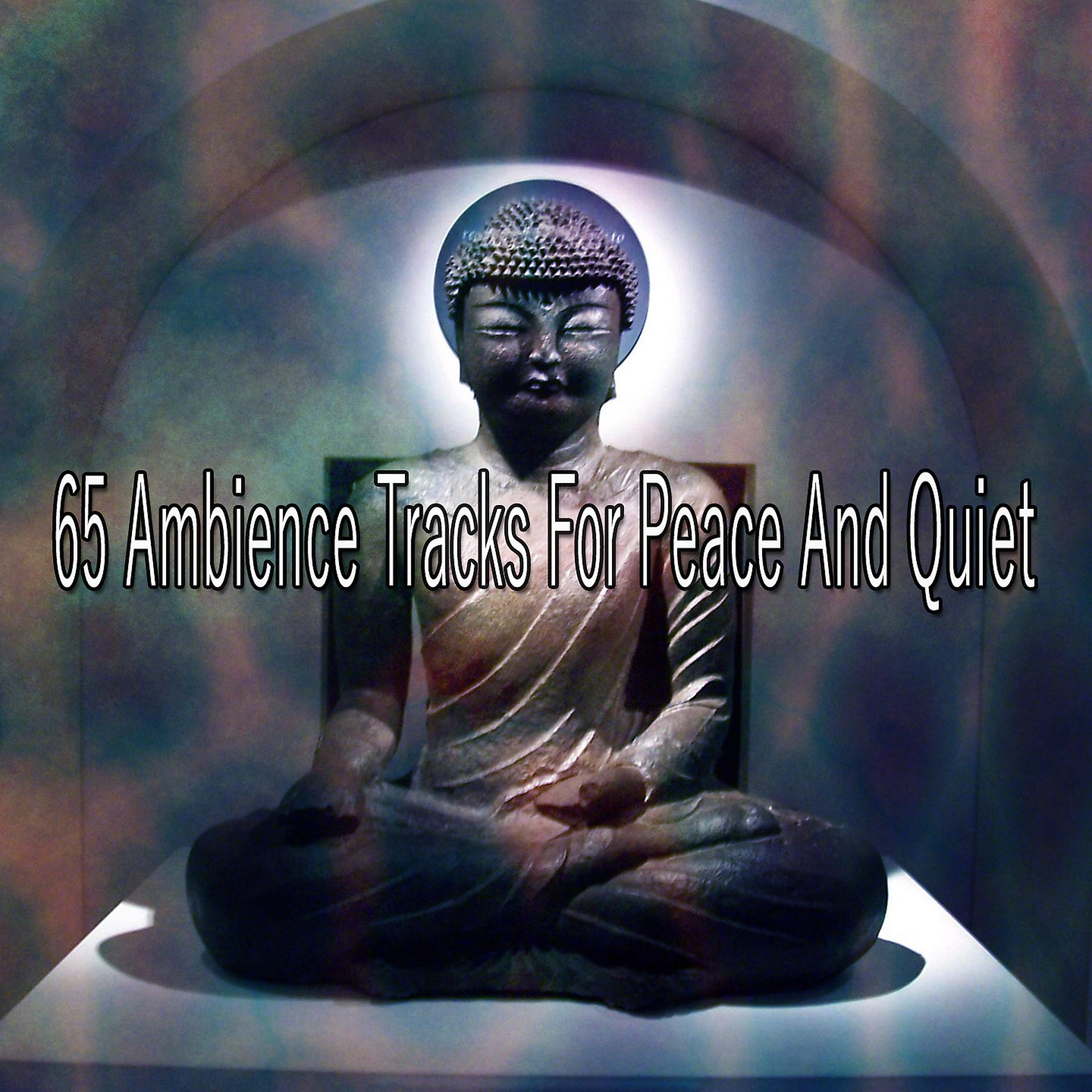 Постер альбома 65 треков Ambience For Peace and Quiet