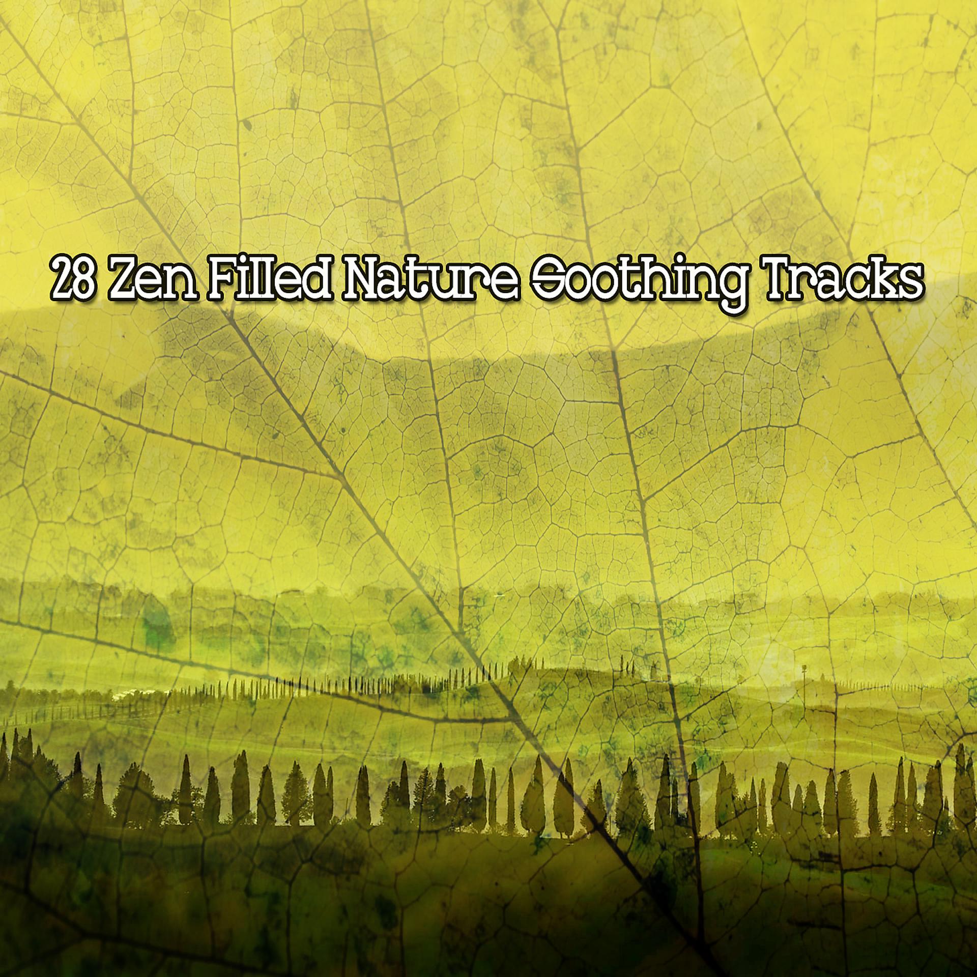 Постер альбома 28 успокаивающих треков природы, наполненных дзен