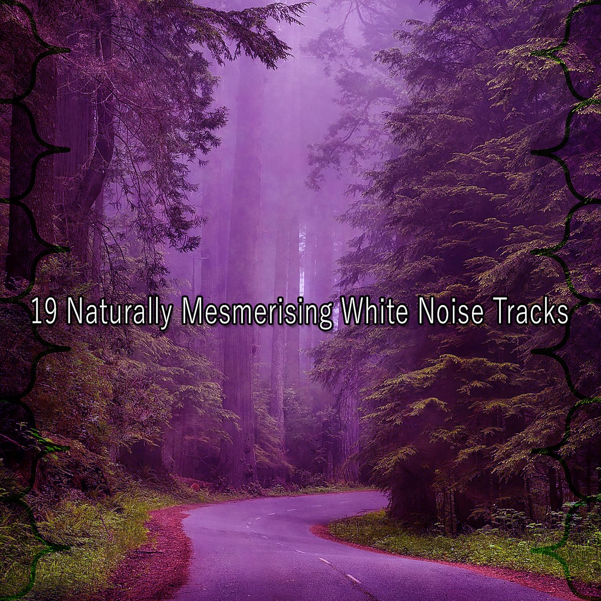 Постер альбома 19 естественно завораживающих композиций белого шума
