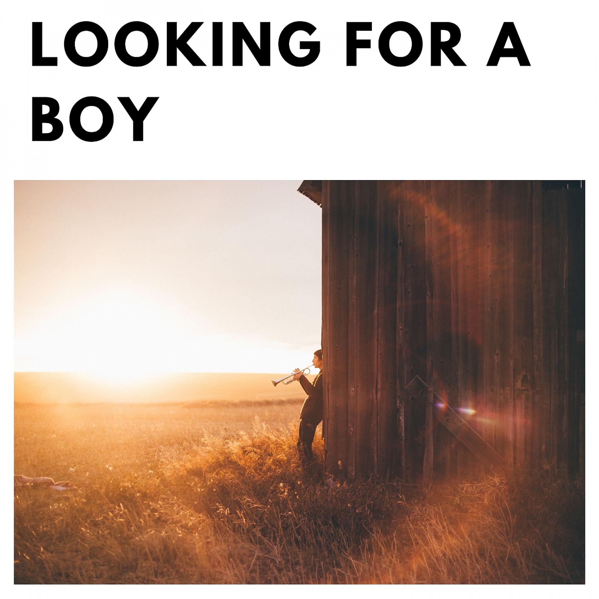 Постер альбома Looking for a Boy