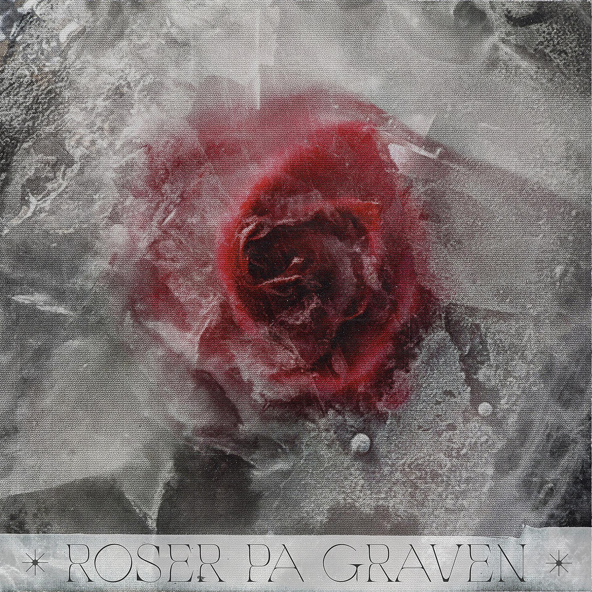 Постер альбома Roser på graven