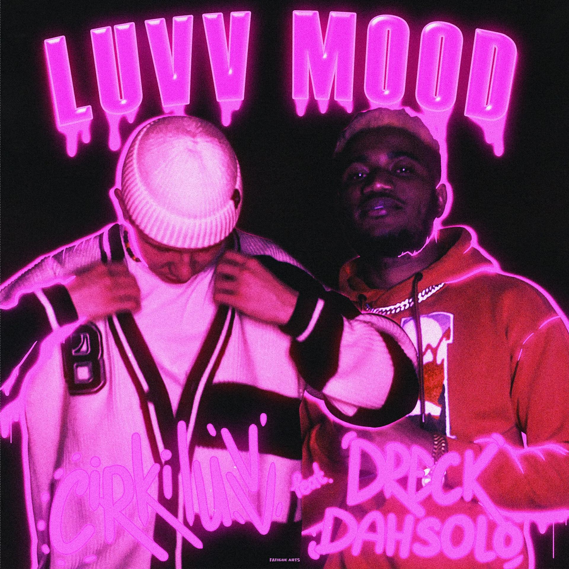 Постер альбома LUVV MOOD