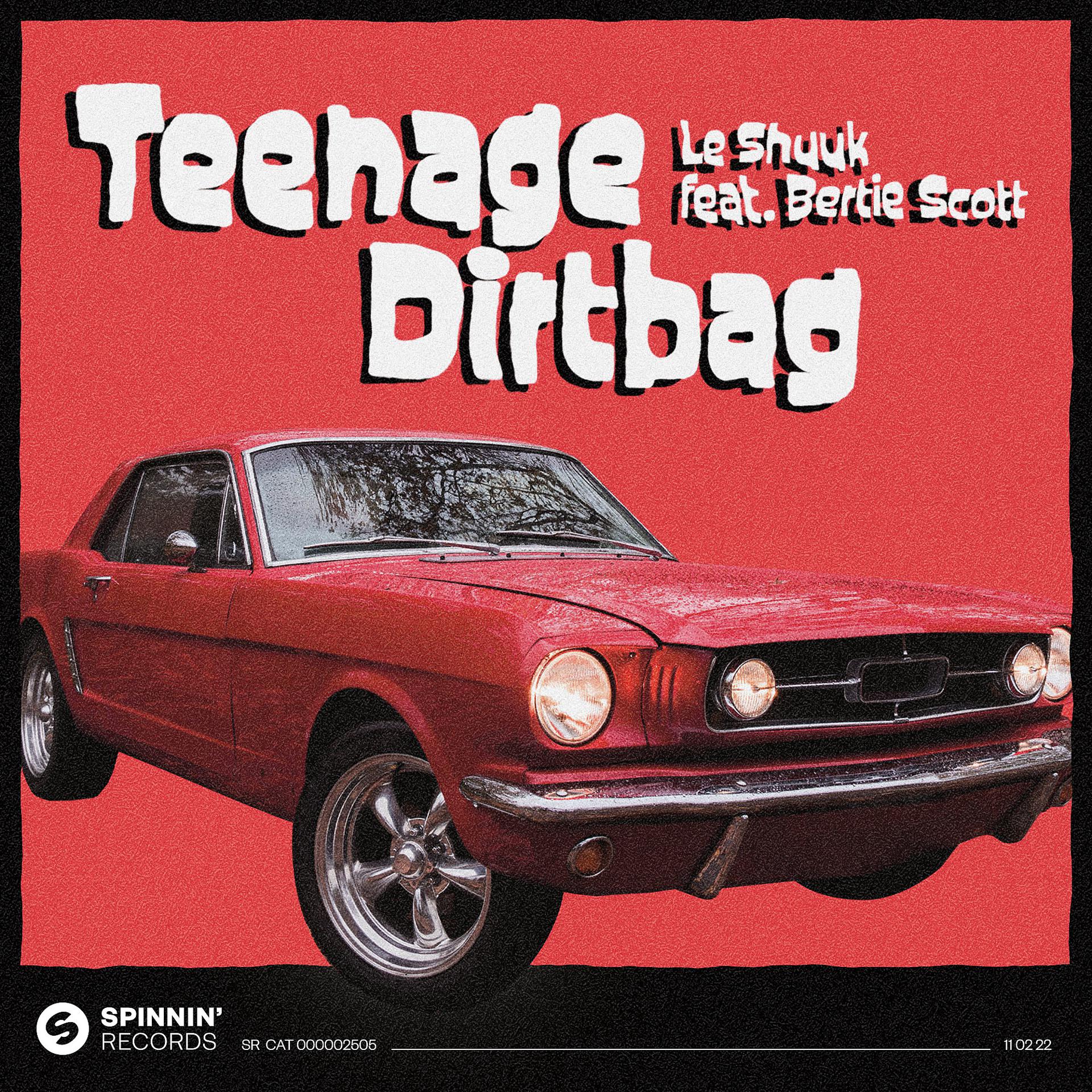 Постер альбома Teenage Dirtbag (feat. Bertie Scott)