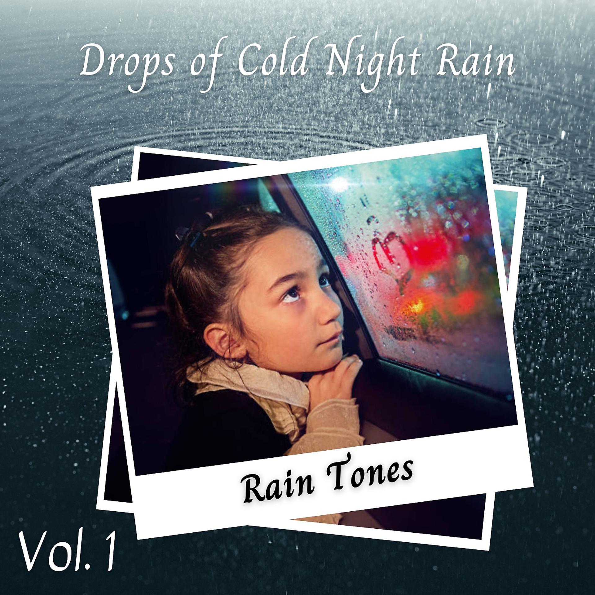 Постер альбома Rain Tones: Drops of Cold Night Rain Vol. 1
