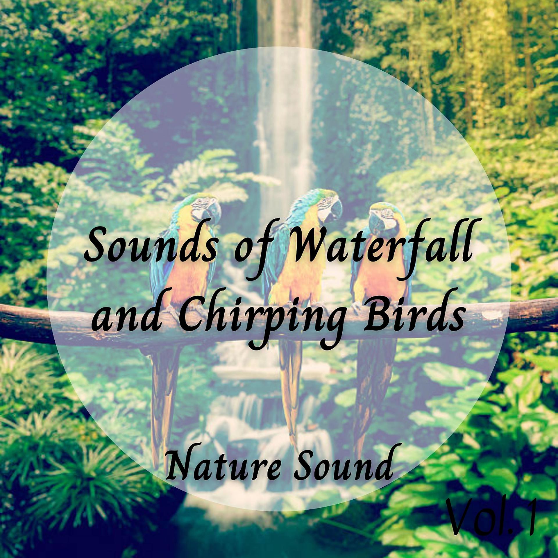 Постер альбома Nature Sound: Sounds of Waterfall and Chirping Birds Vol. 1