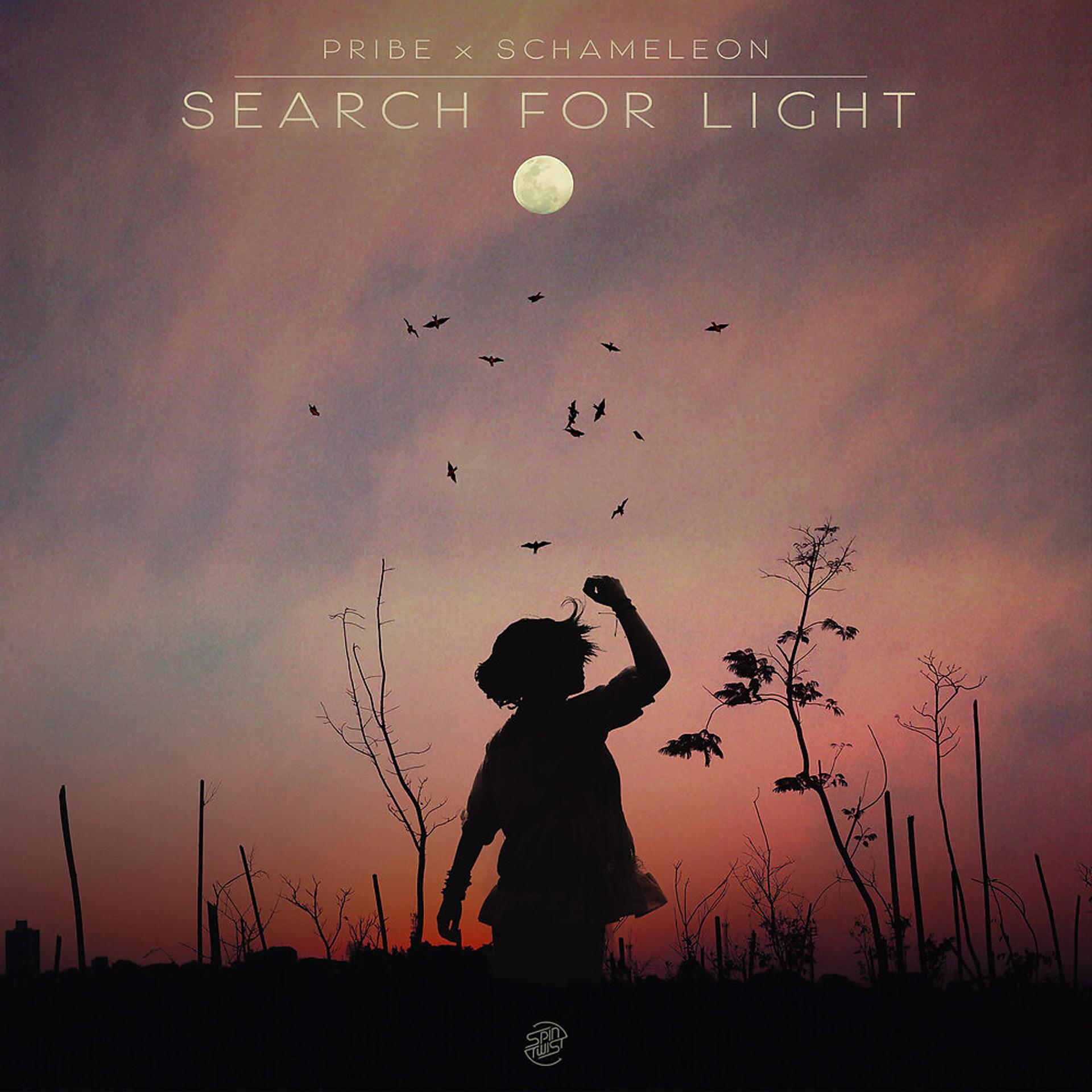 Постер альбома Search For Light