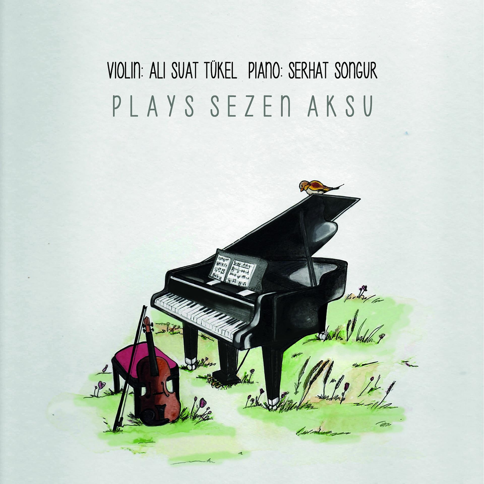 Постер альбома Plays Sezen Aksu