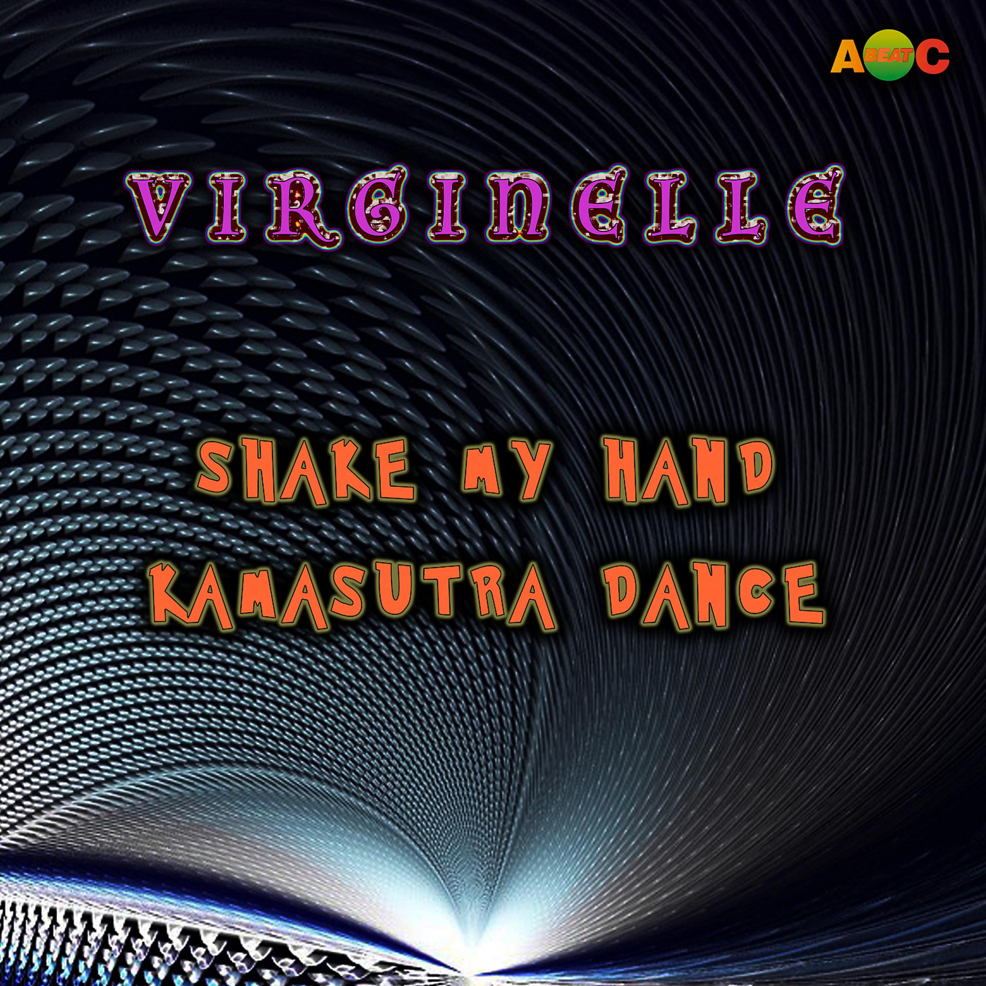 Постер альбома Shake my Hand / Kamasutra dance