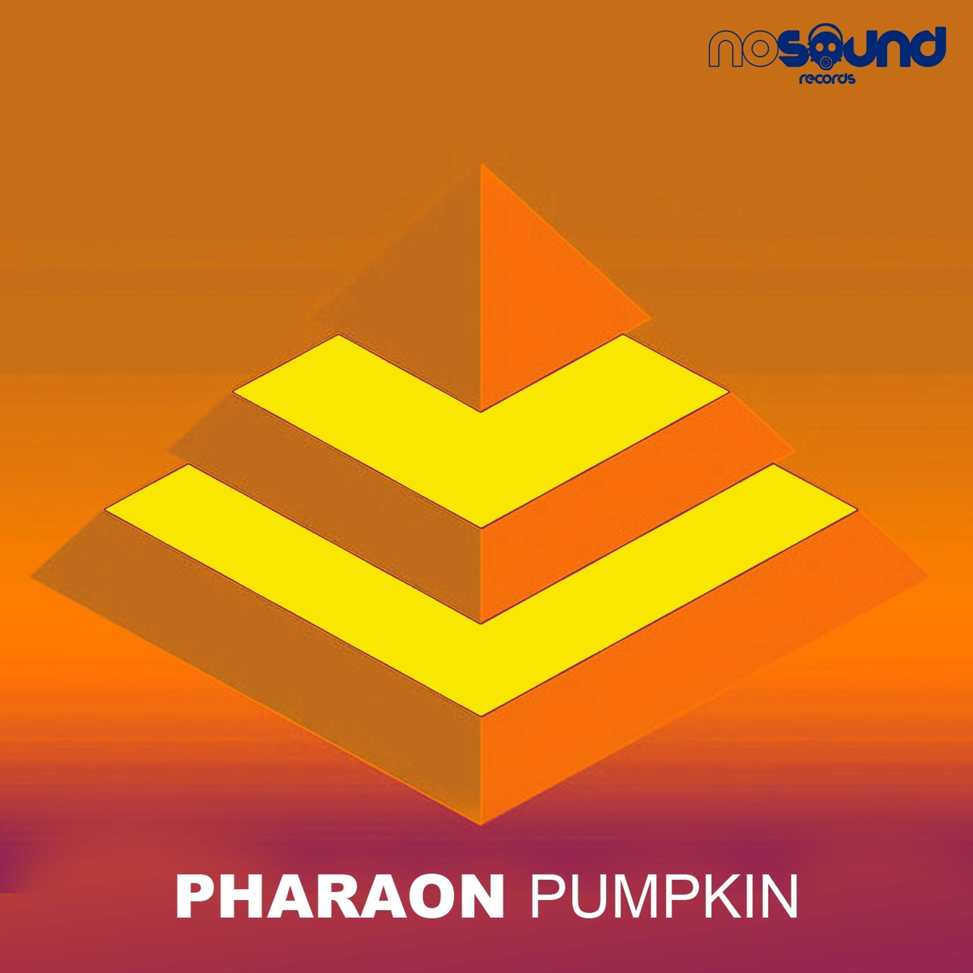 Постер альбома Pumpkin