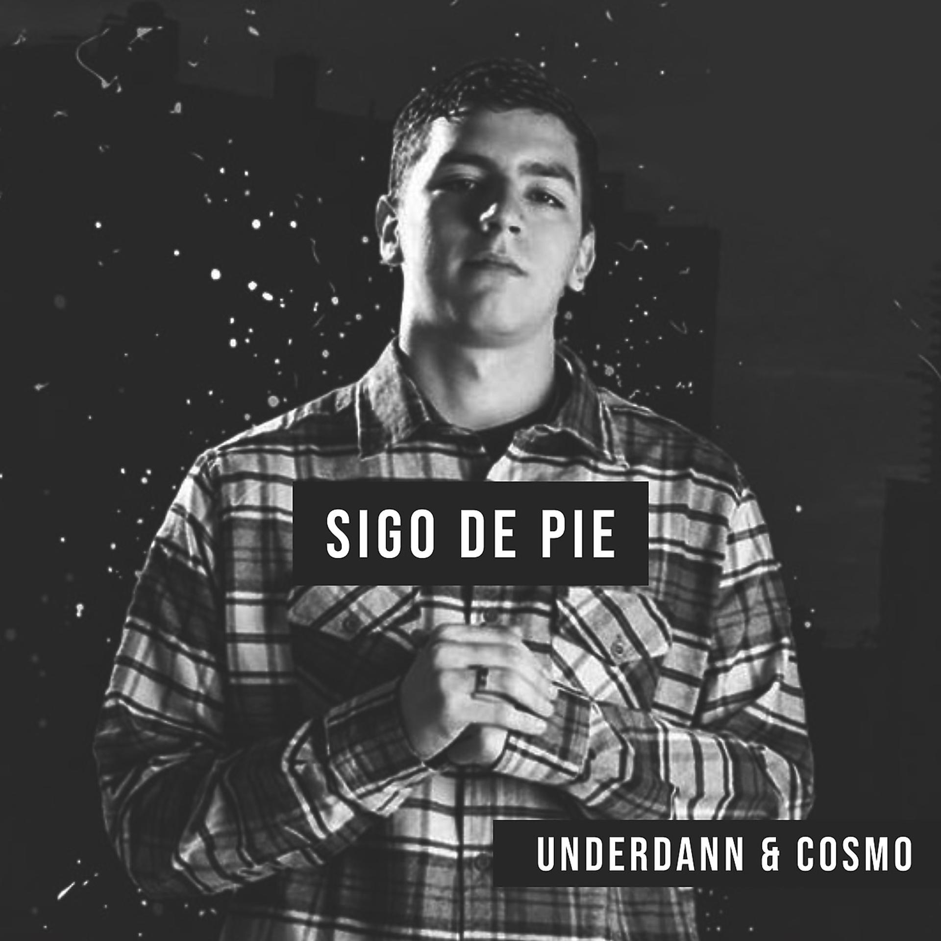 Постер альбома Sigo de Pie