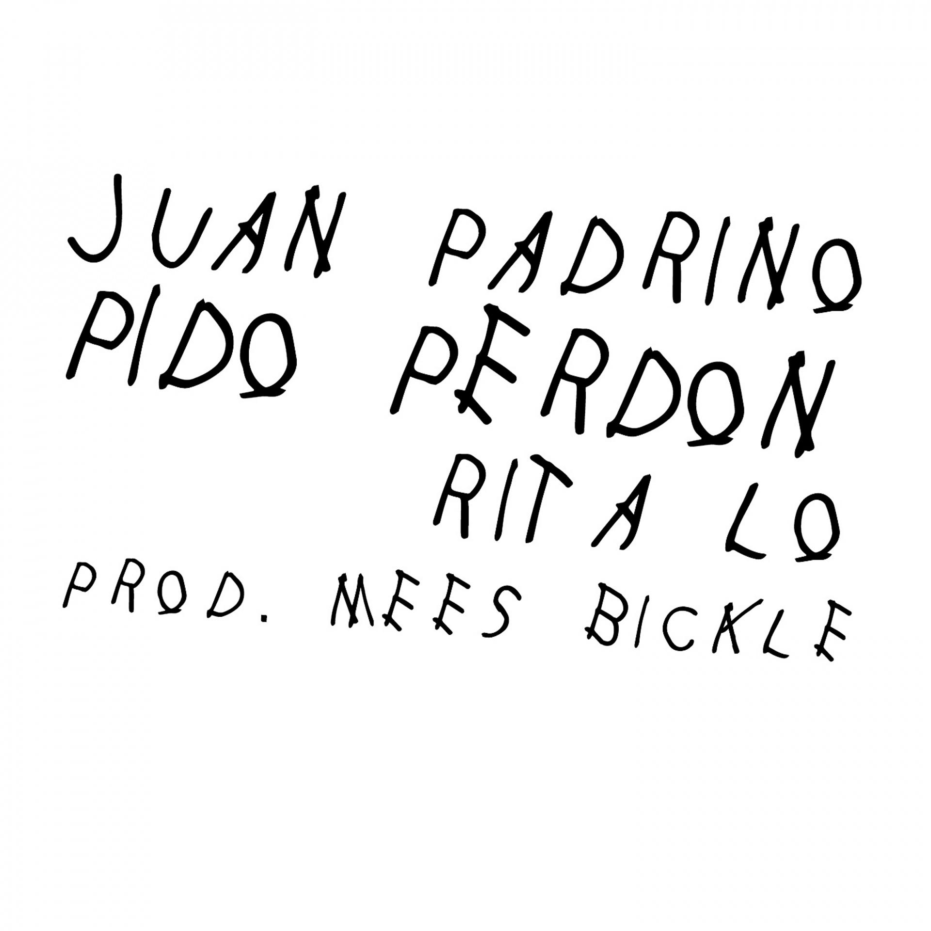 Постер альбома Pido perdón