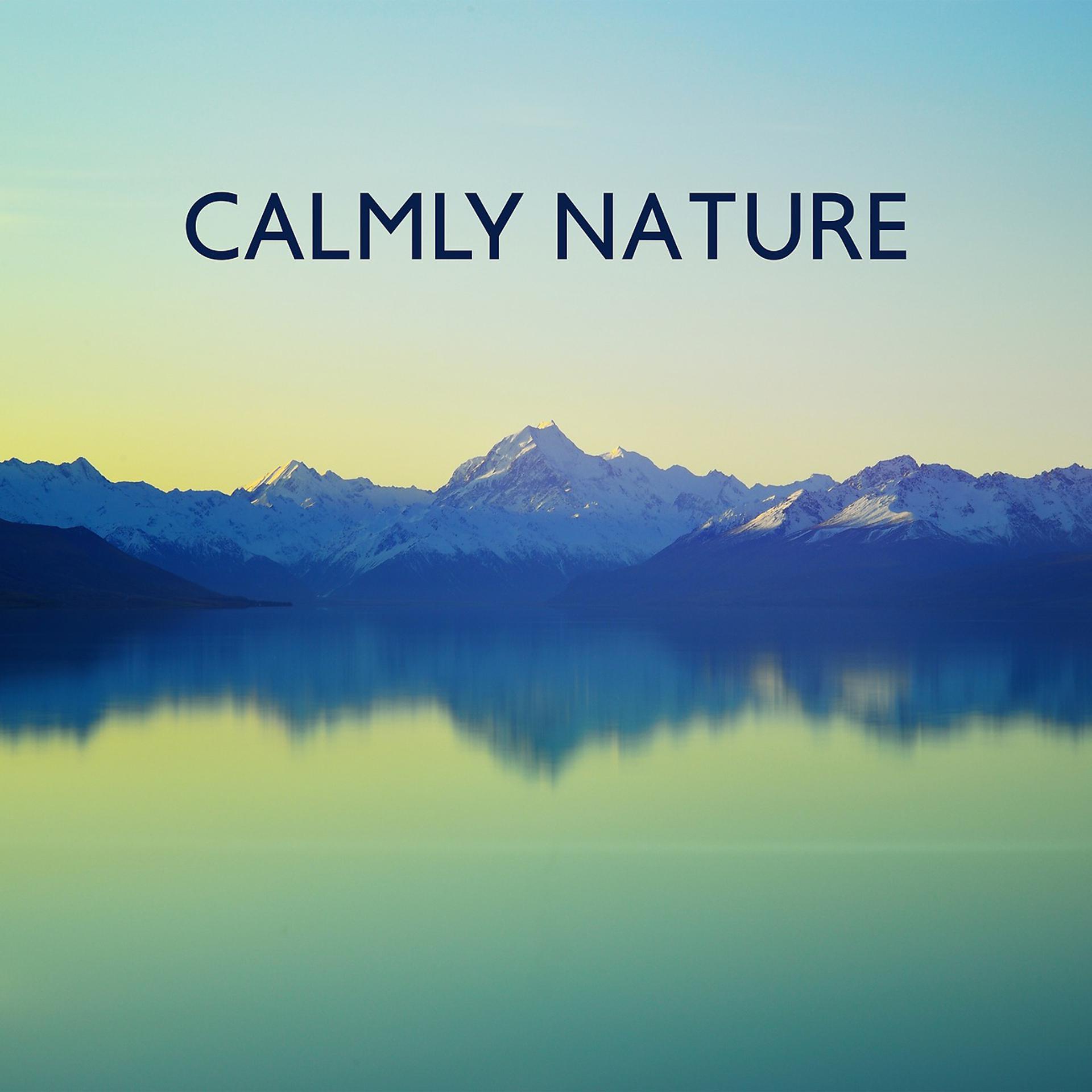 Постер альбома Calmly Nature