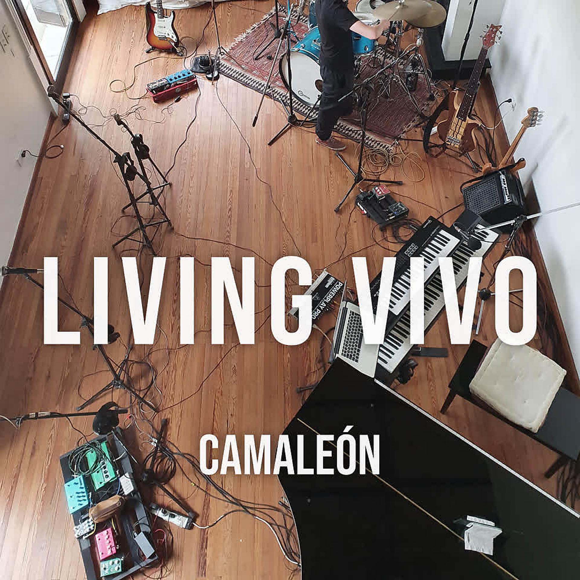 Постер альбома Living Vivo