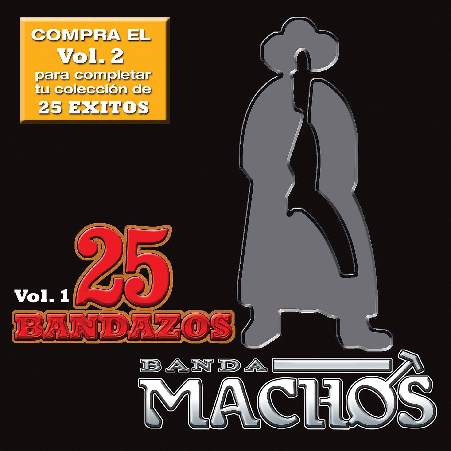 Постер альбома 25 Bandazos de Machos (Vol. 1) (USA)