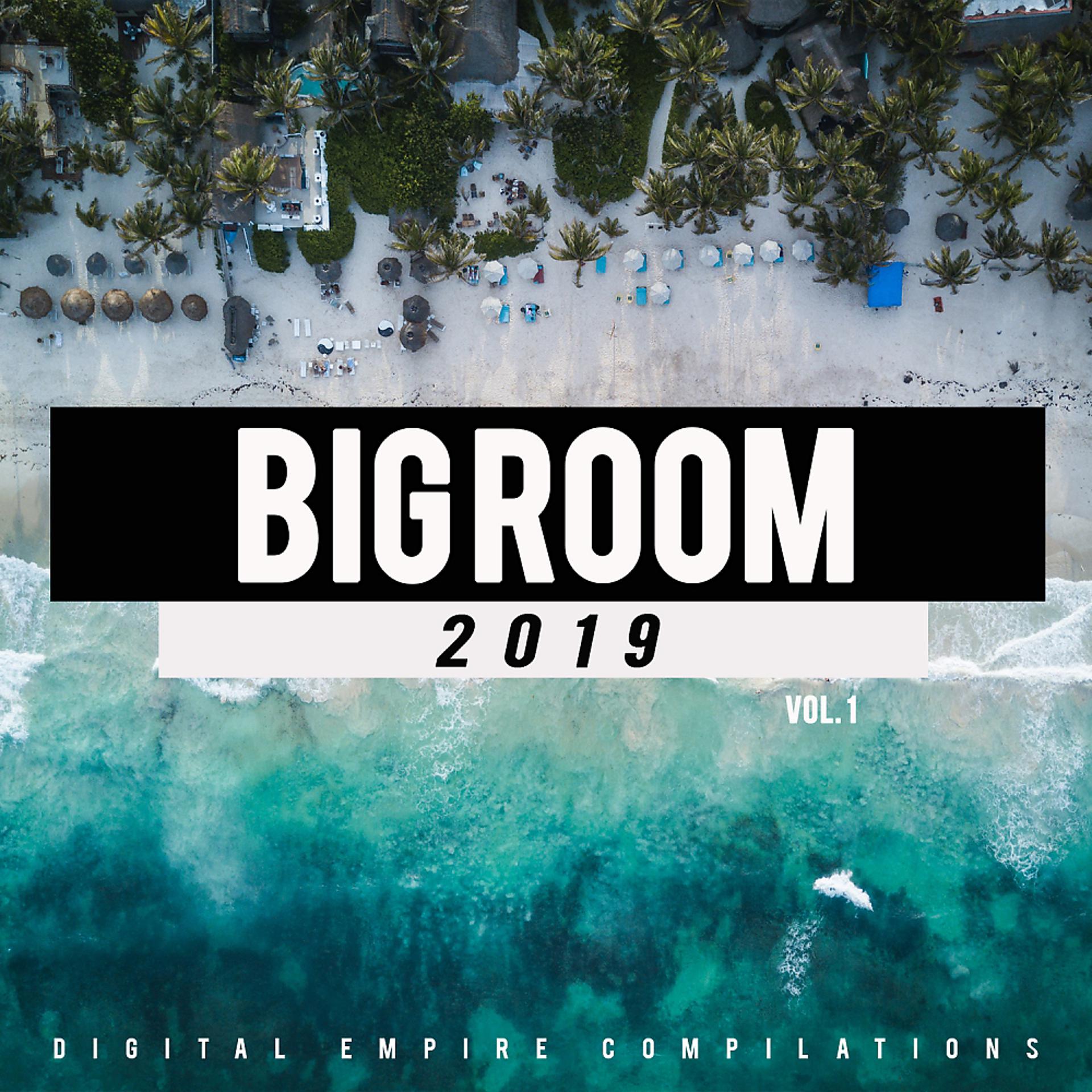 Постер альбома Big Room 2019, Vol.1