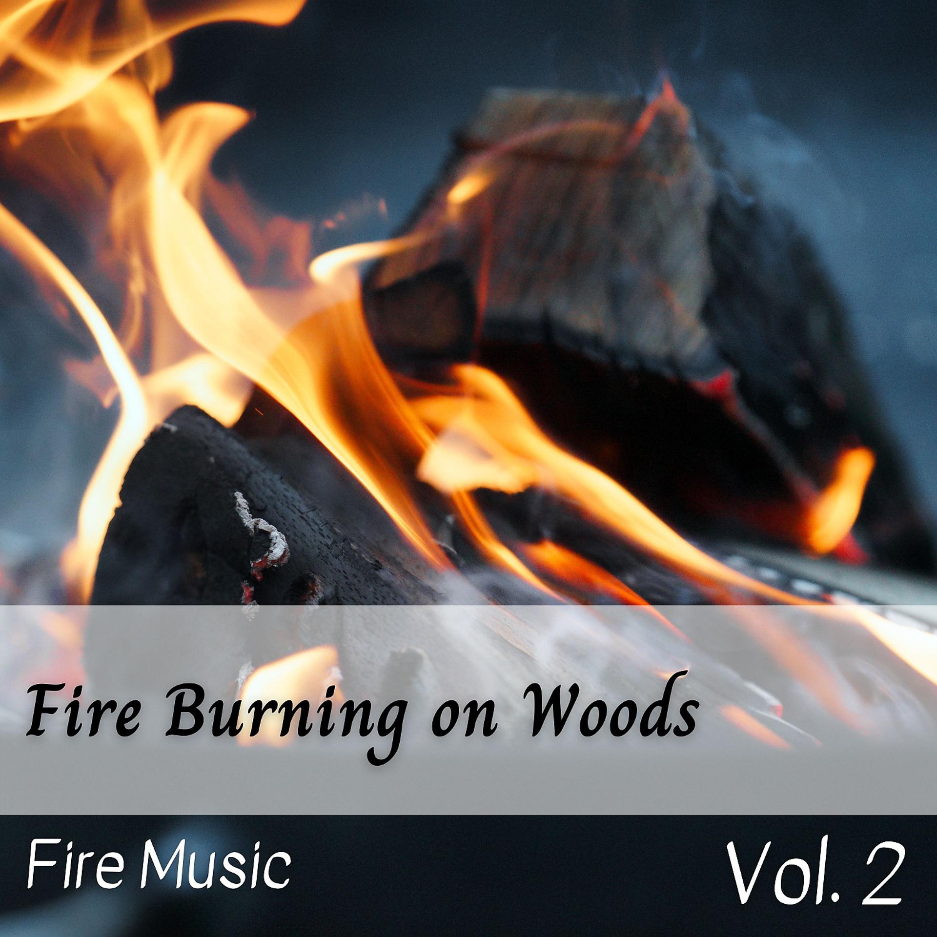Постер альбома Fire Music: Fire Burning on Woods Vol. 2