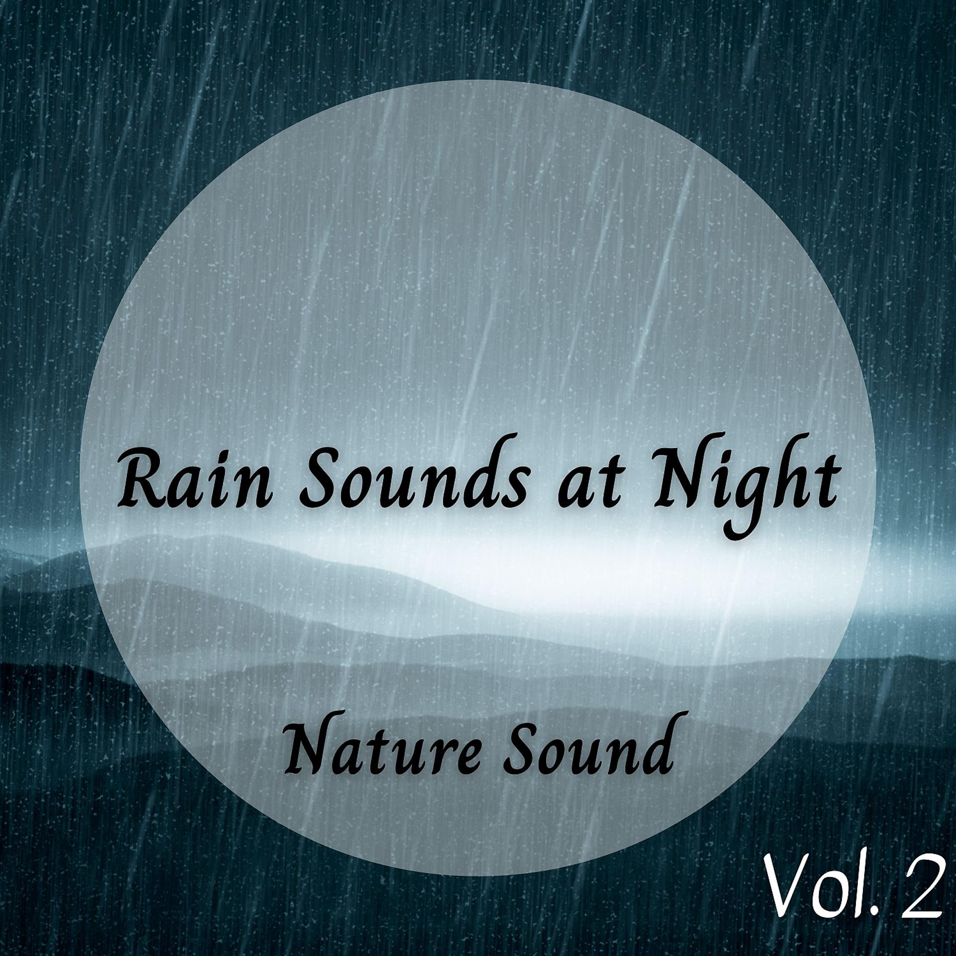 Постер альбома Nature Sound: Rain Sounds at Night Vol. 2