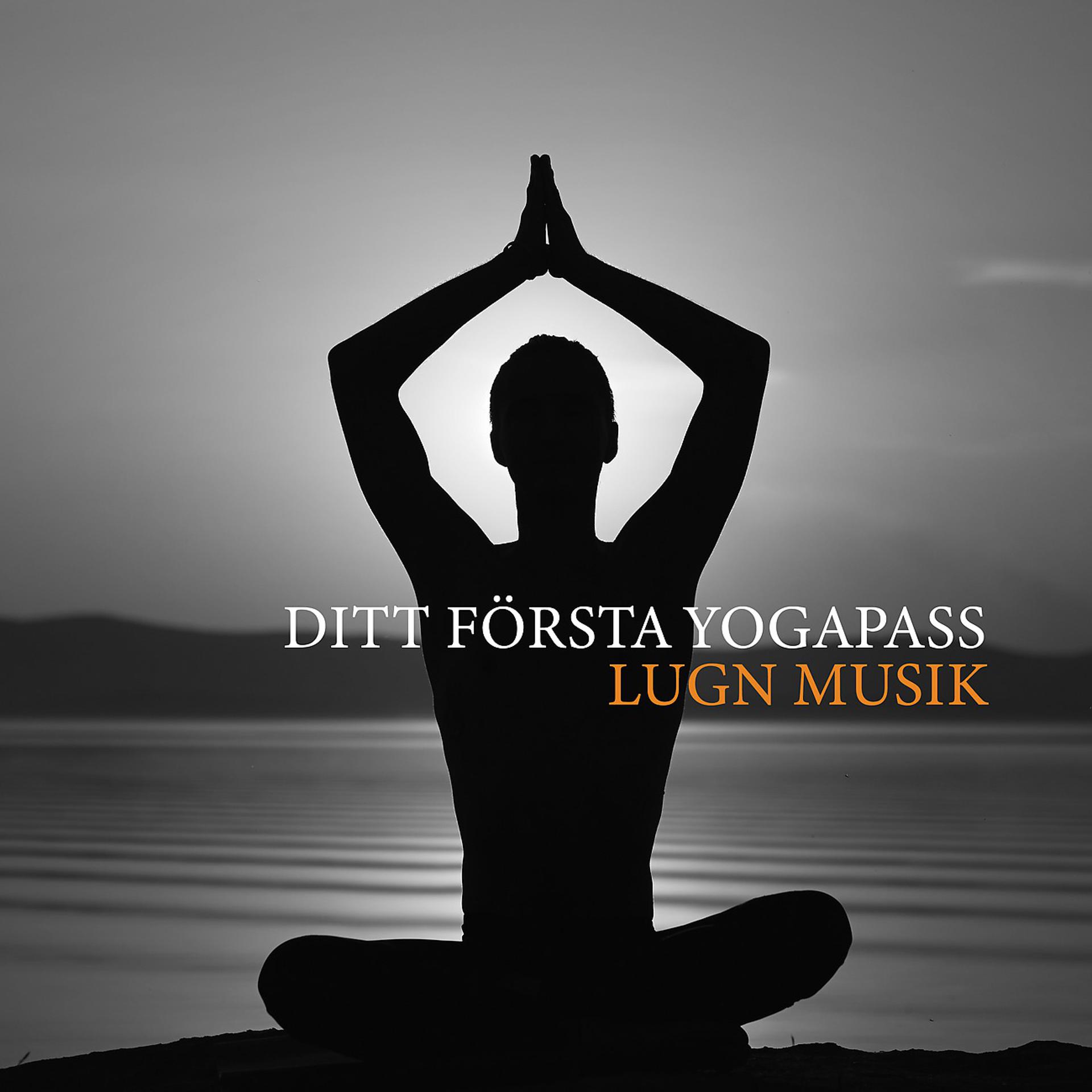 Постер альбома Ditt första yogapass