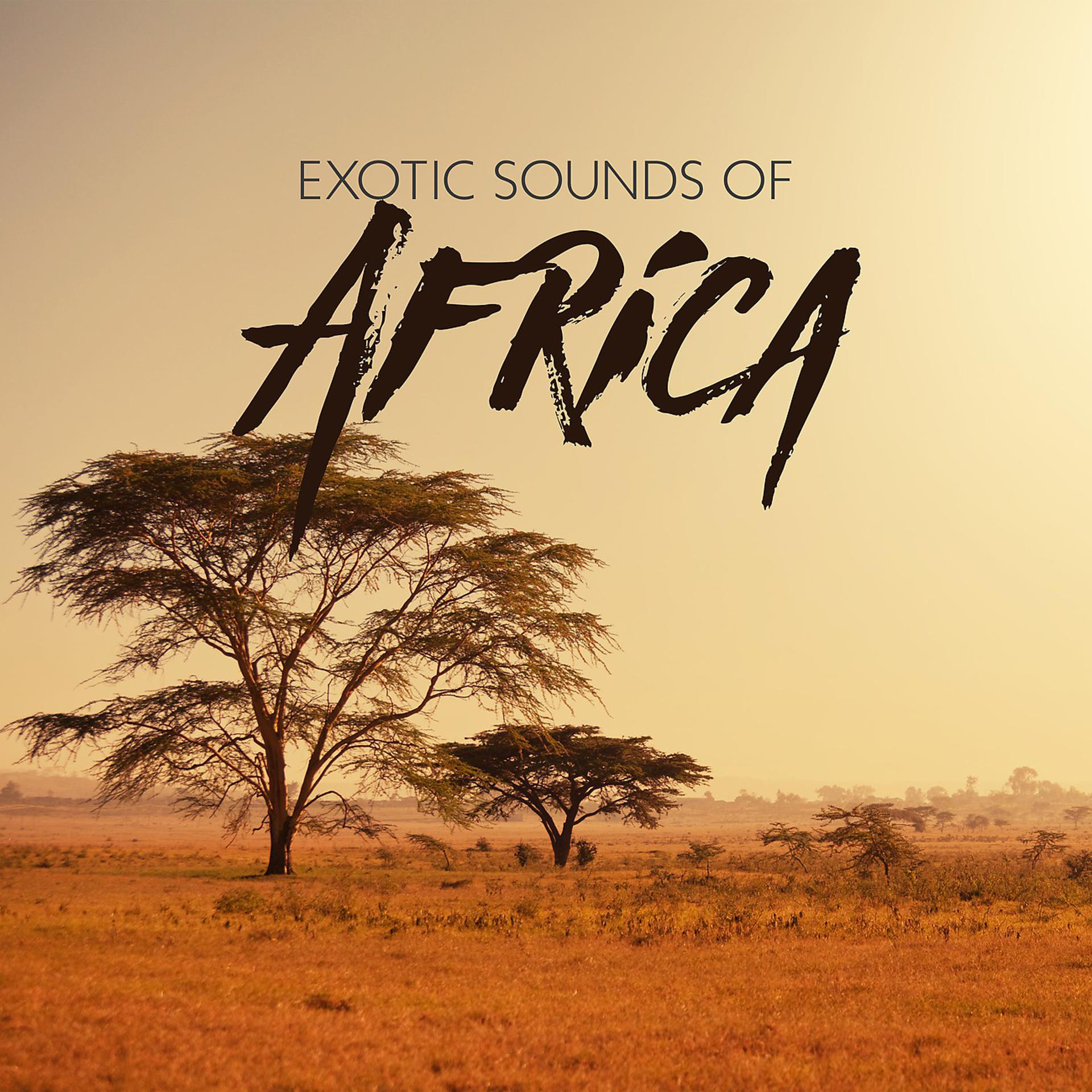 Постер альбома Exotic Sounds of Africa