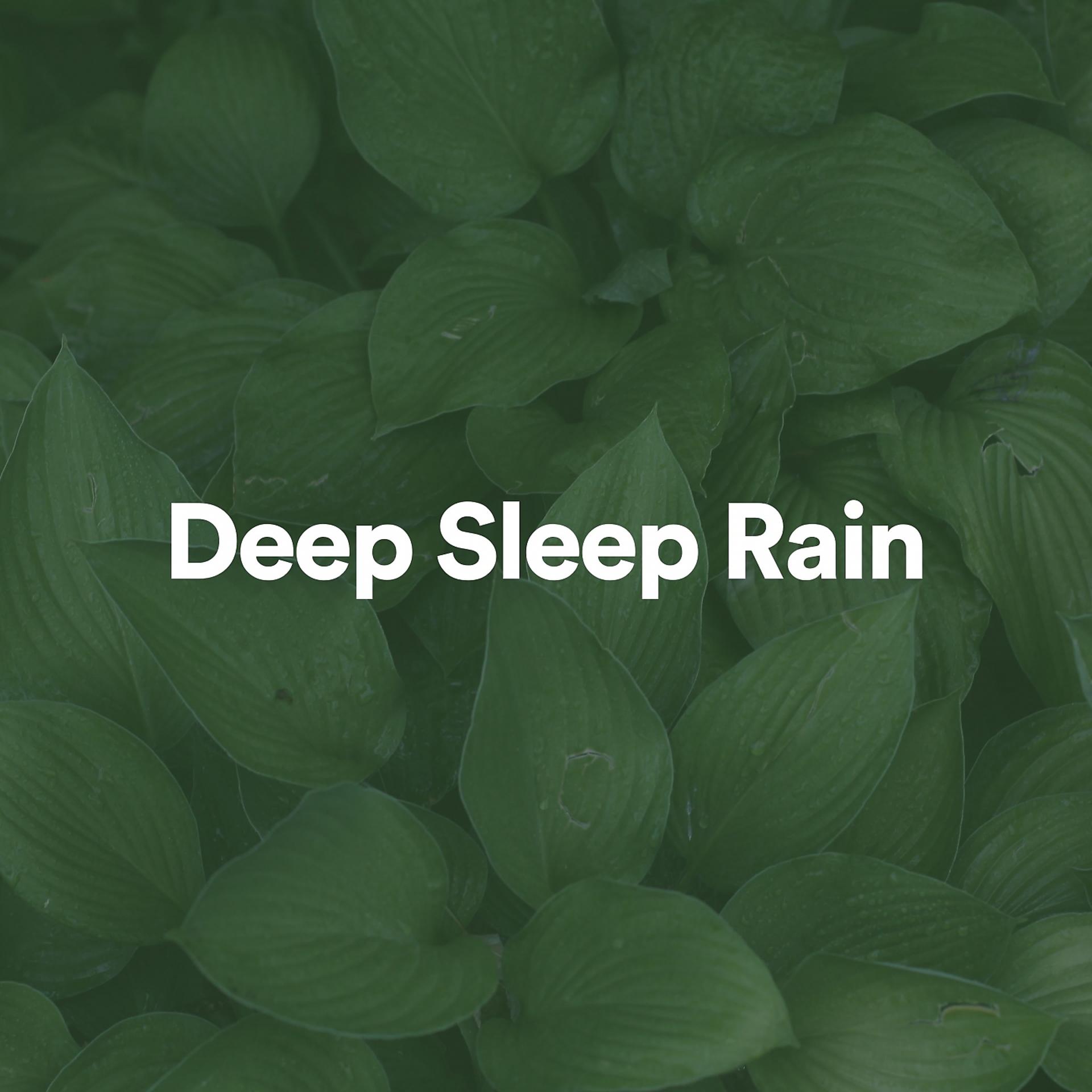 Постер альбома Deep Sleep Rain