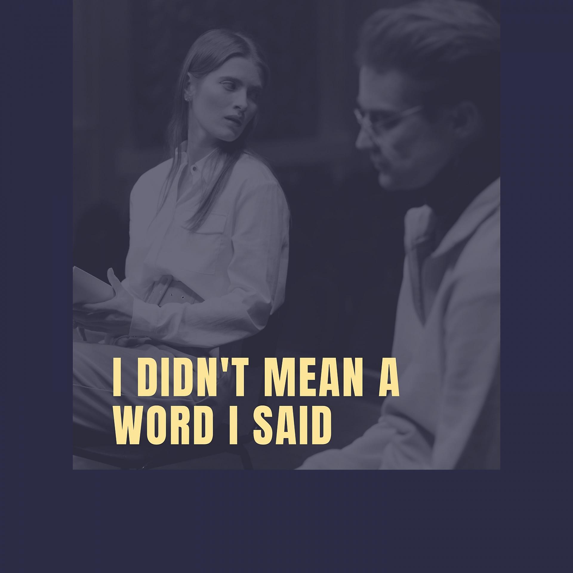 Постер альбома I Didn't Mean a Word I Said