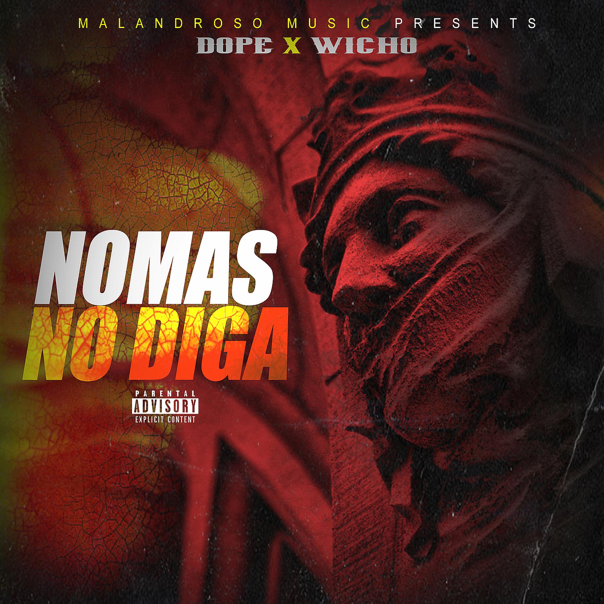 Постер альбома Nomas No Diga