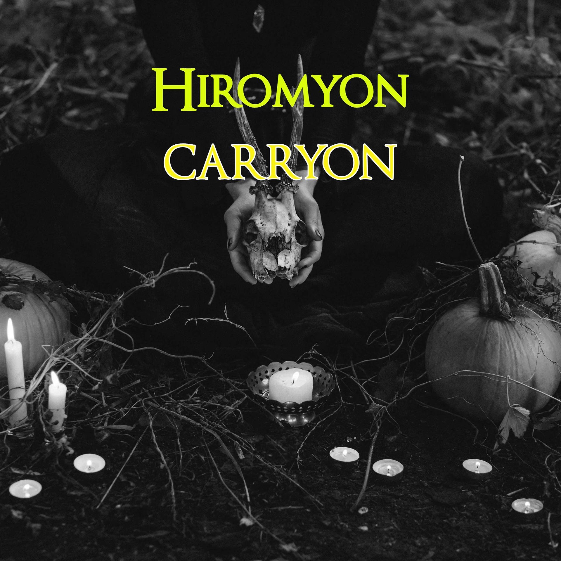 Постер альбома Carryon