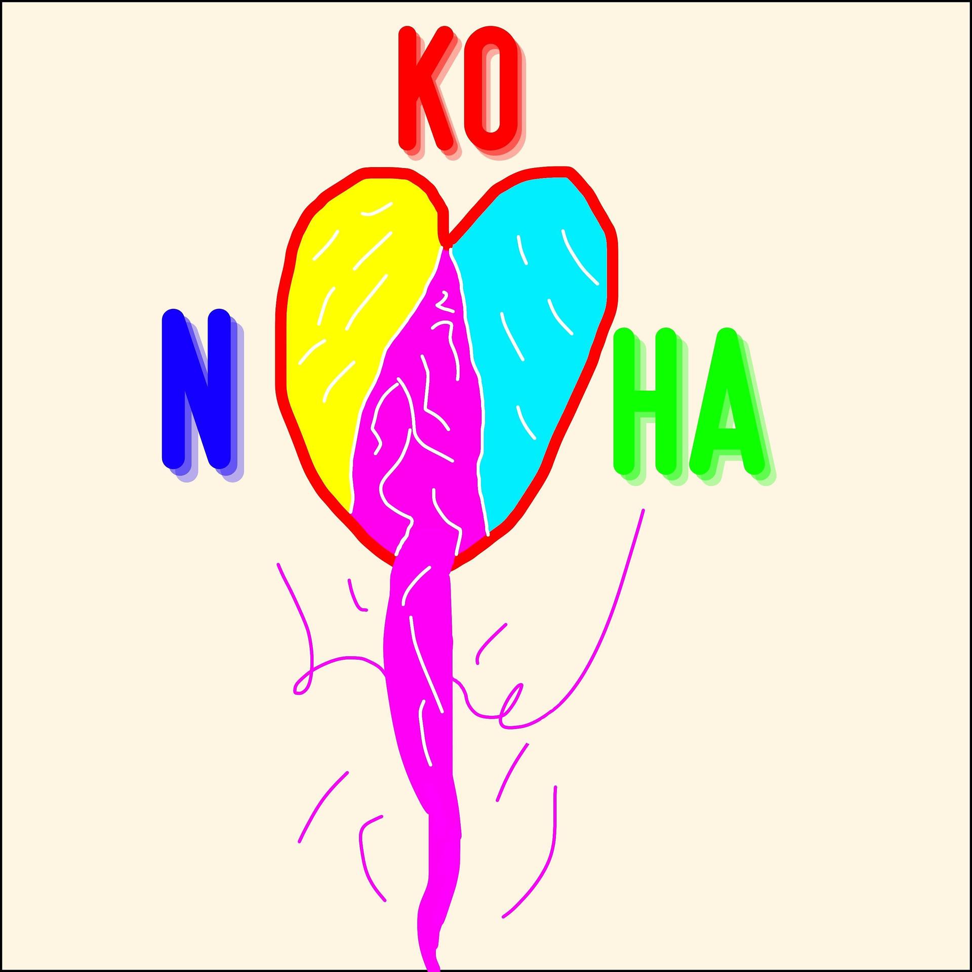Постер альбома Nkoha