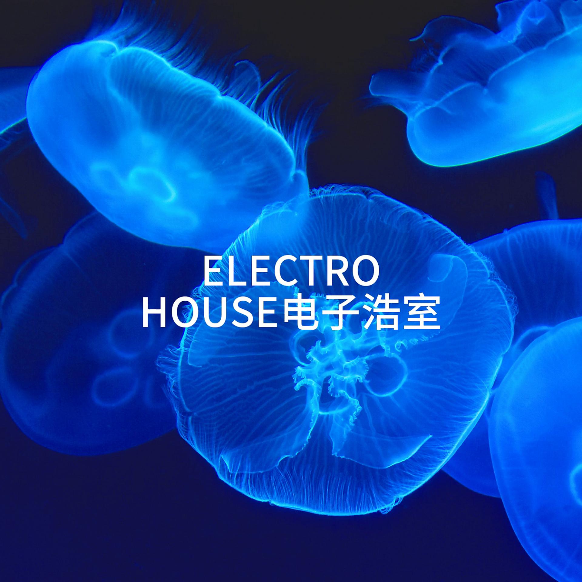 Постер альбома Electro House电子浩室