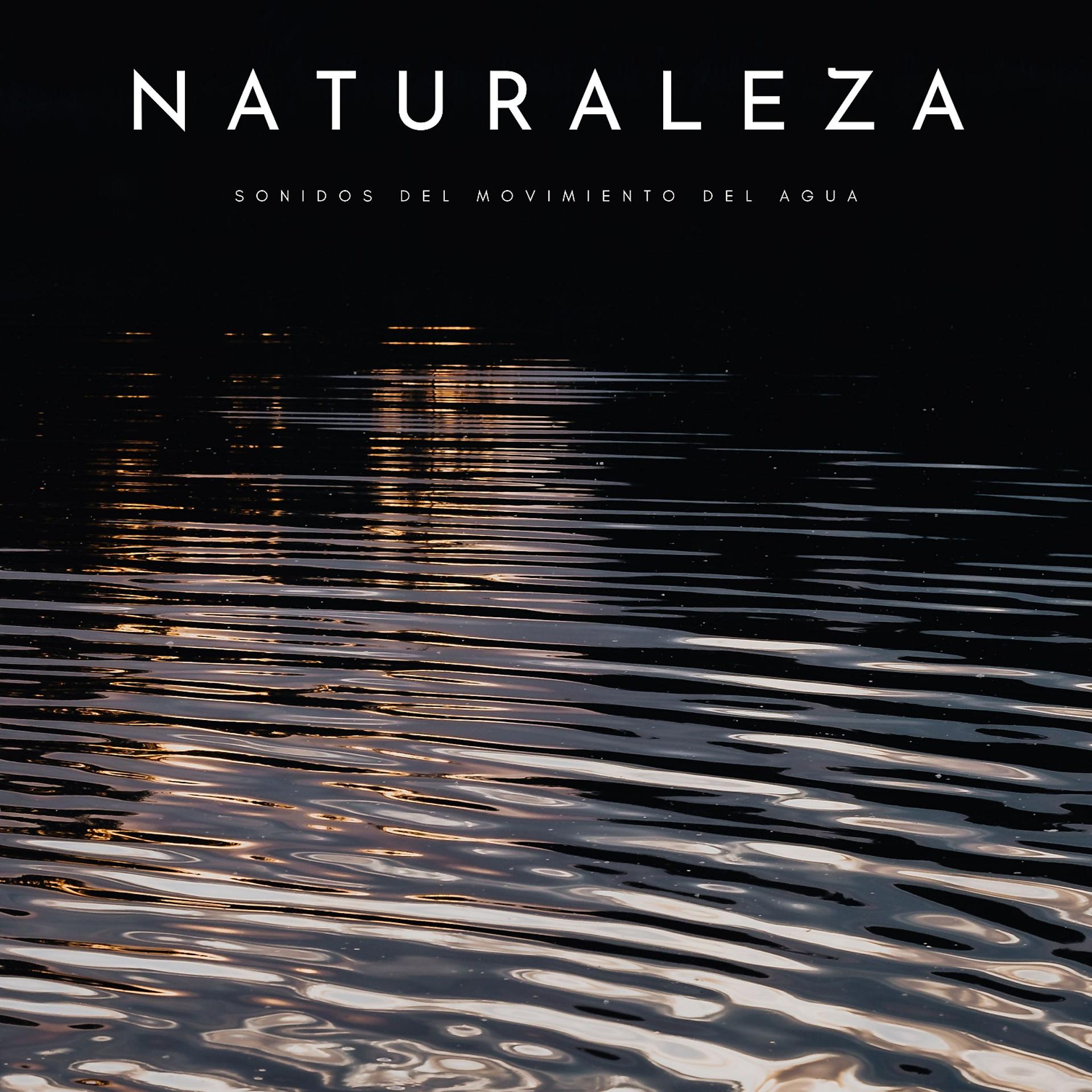Постер альбома Naturaleza: Sonidos Del Movimiento Del Agua