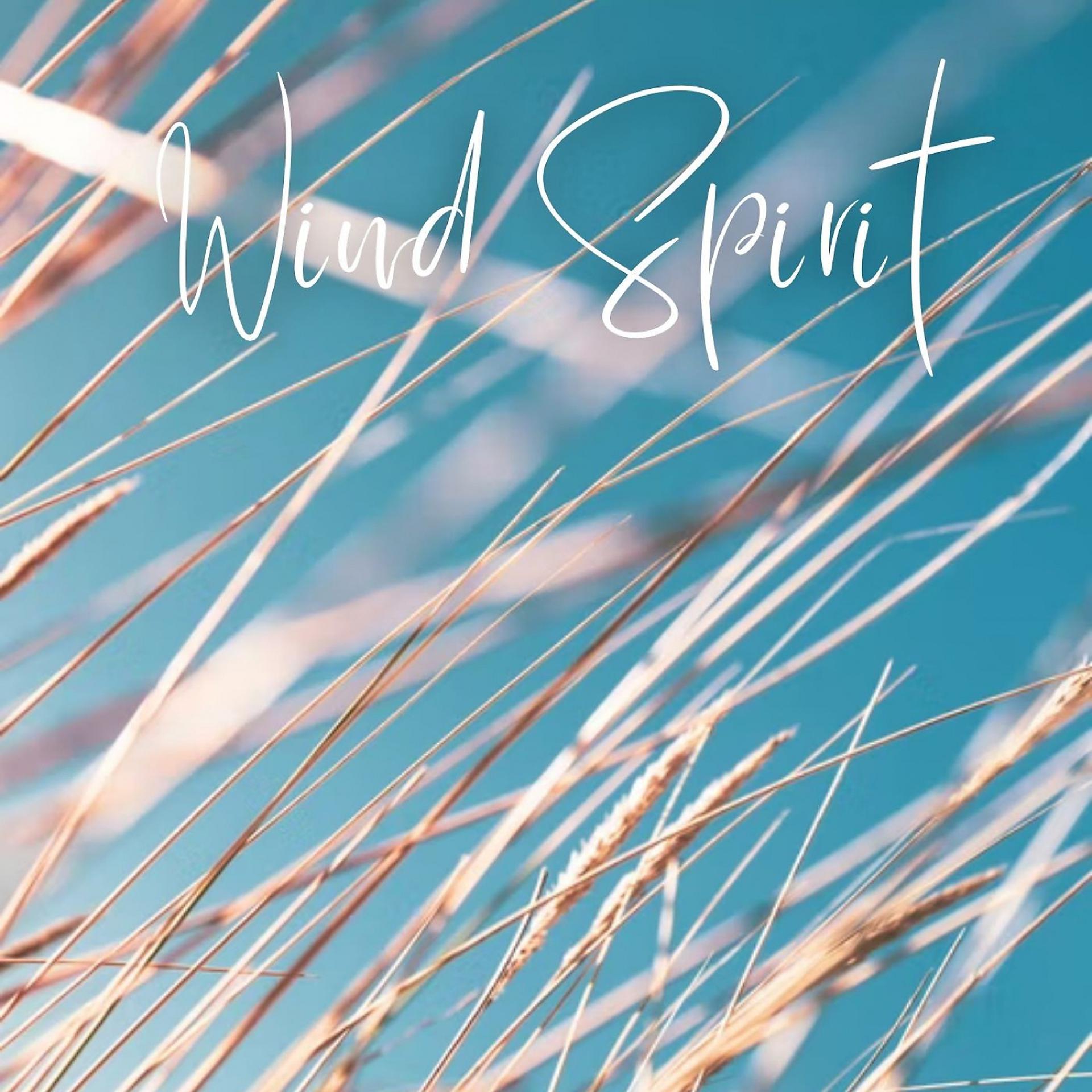 Постер альбома Wind Spirit - 1 Hour